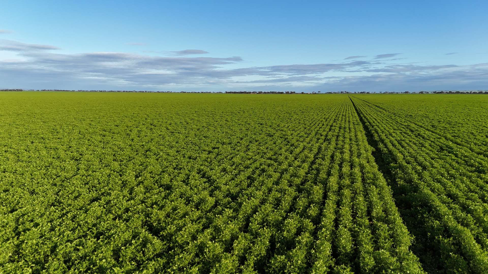 'Condowie' 1 Smitham Road, Condowie For Sale by Farmbuy.com - image 11