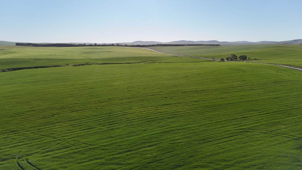'Siegerts' Section 3 Goyder Highway, Spalding SA 5454
