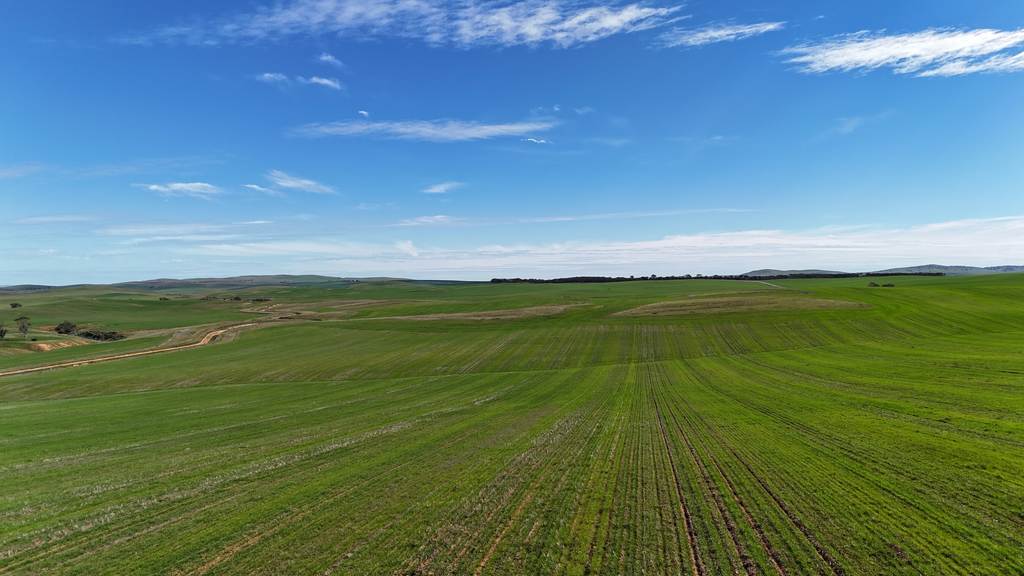 'Siegerts' Section 3 Goyder Highway, Spalding SA 5454