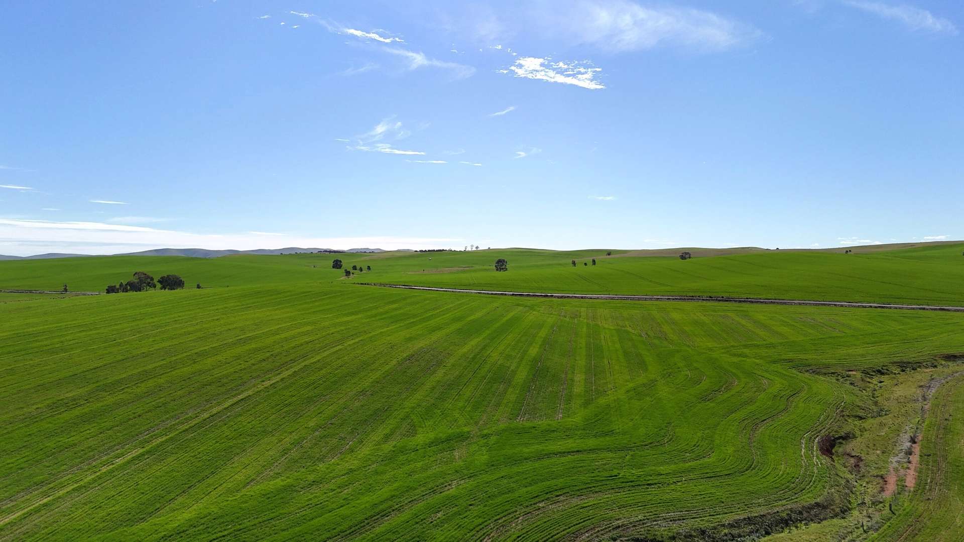 'Siegerts' Section 3 Goyder Highway, Spalding For Sale by Farmbuy.com - image 3