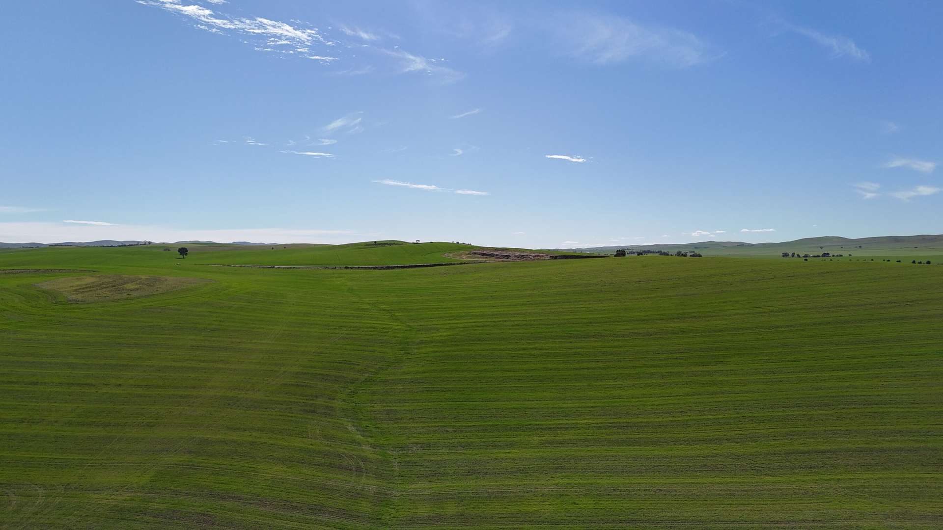 'Siegerts' Section 3 Goyder Highway, Spalding For Sale by Farmbuy.com - image 4