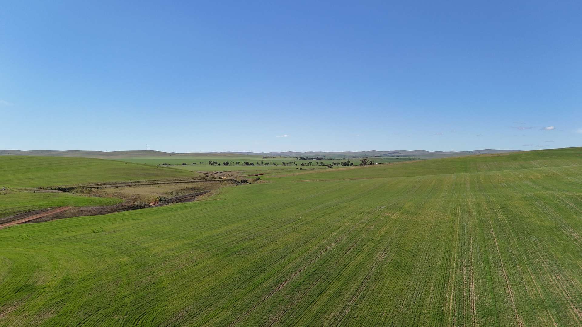 'Siegerts' Section 3 Goyder Highway, Spalding For Sale by Farmbuy.com - image 2
