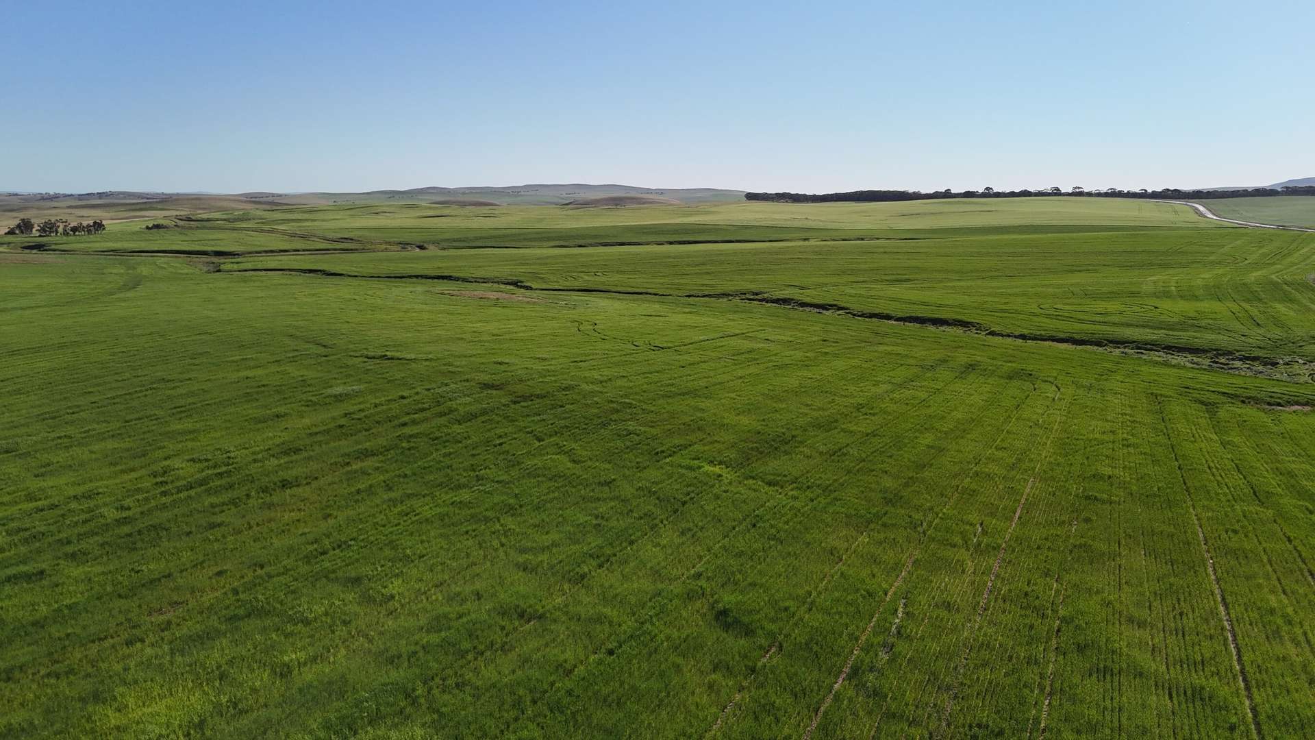 'Siegerts' Section 3 Goyder Highway, Spalding For Sale by Farmbuy.com - image 5
