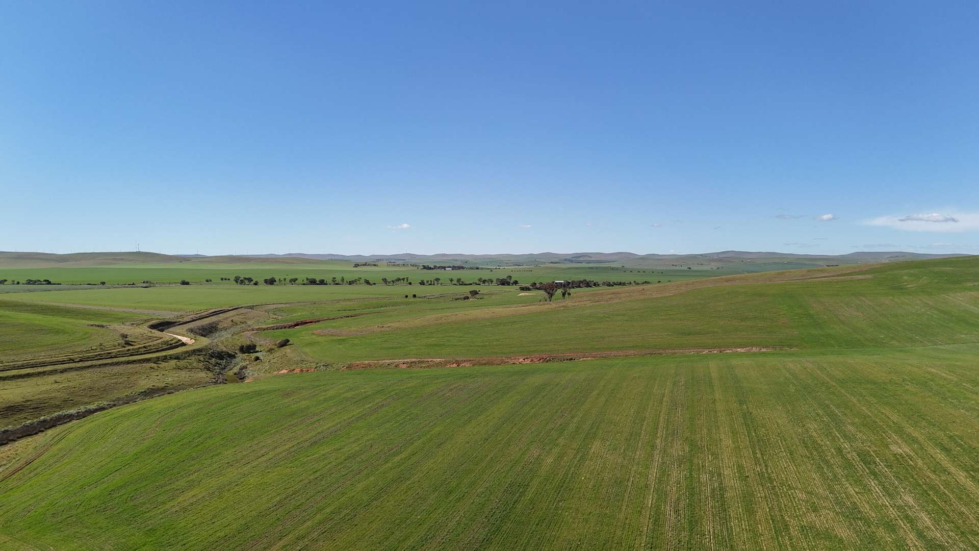 'Siegerts' Section 3 Goyder Highway, Spalding For Sale by Farmbuy.com - image 5