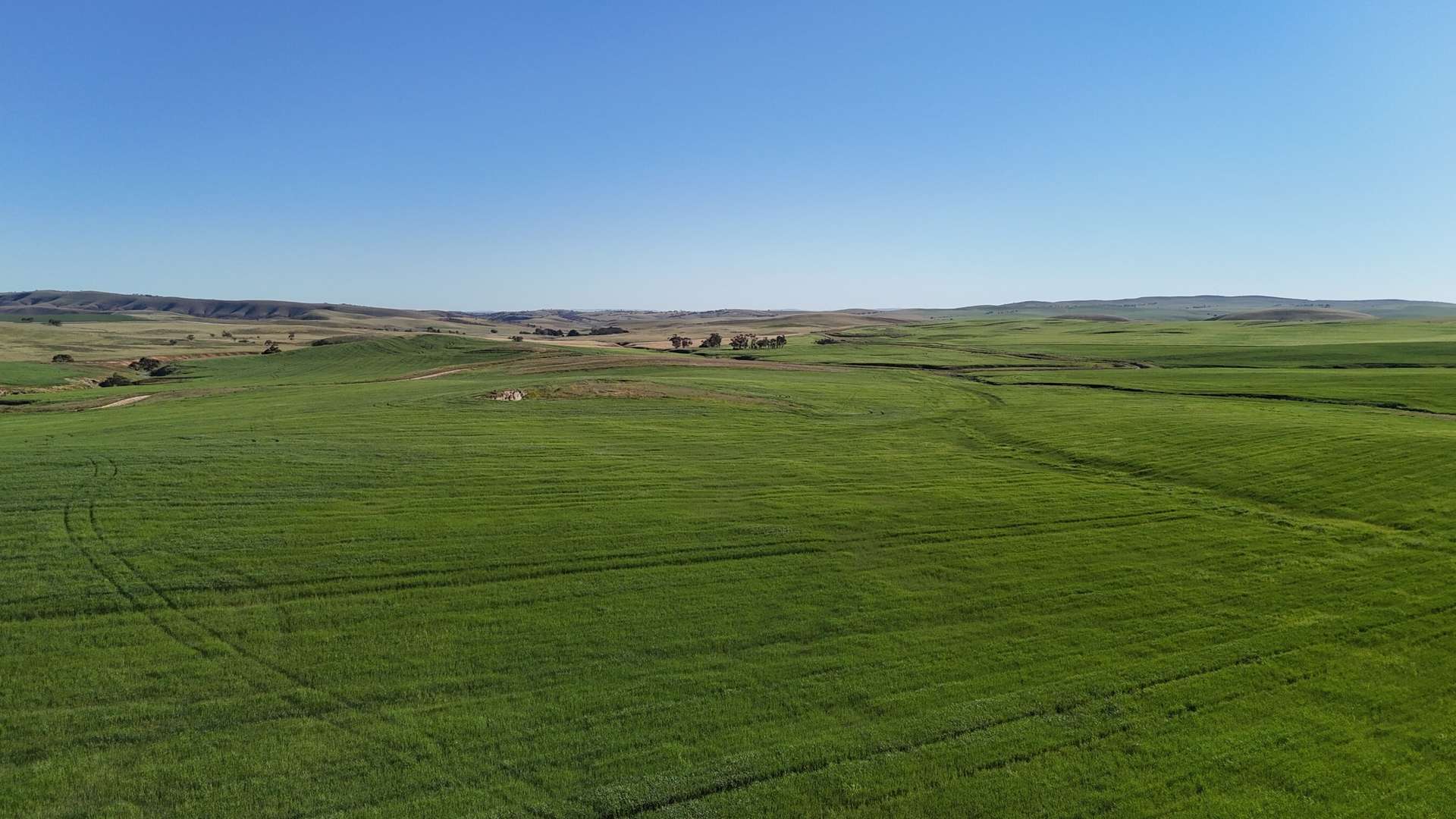 'Siegerts' Section 3 Goyder Highway, Spalding For Sale by Farmbuy.com - image 4