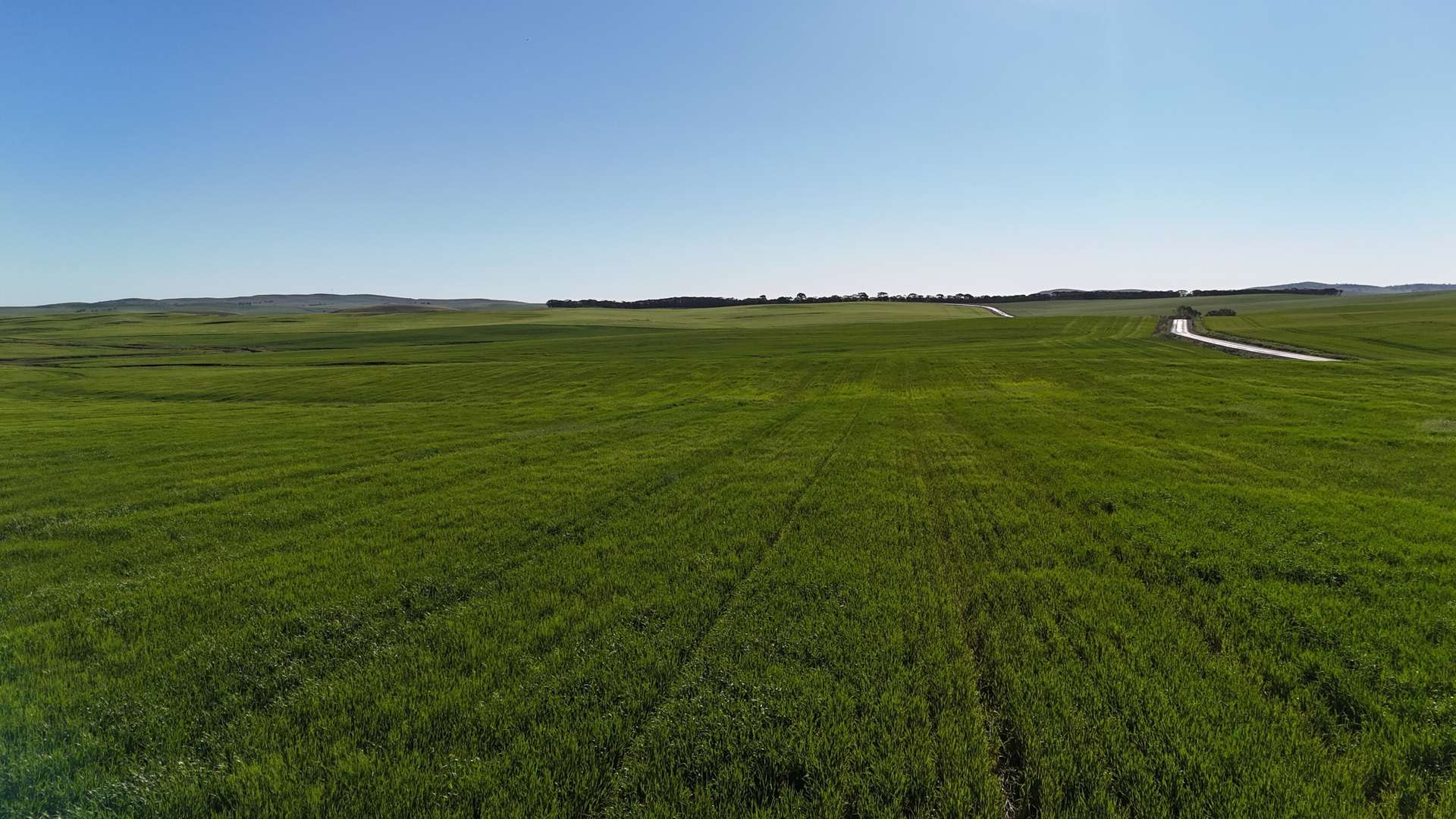 'Siegerts' Section 3 Goyder Highway, Spalding For Sale by Farmbuy.com - image 2