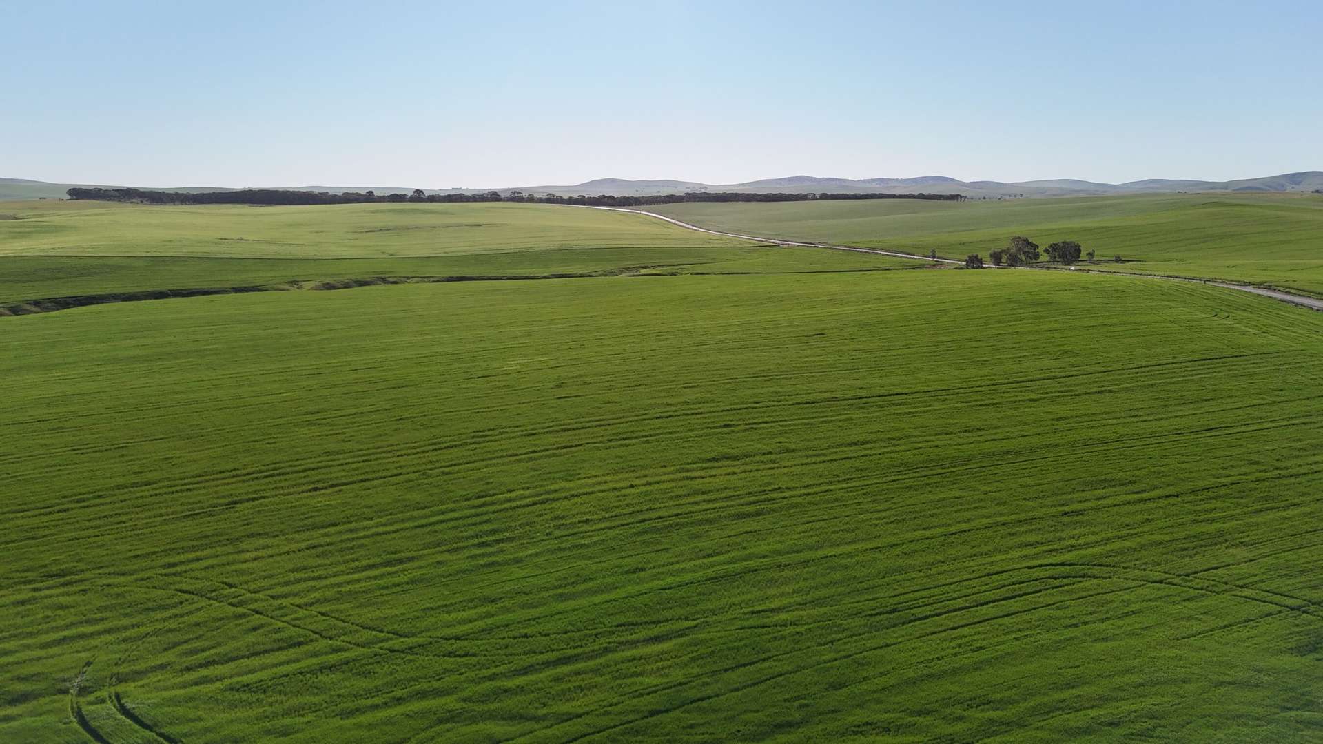 'Siegerts' Section 3 Goyder Highway, Spalding For Sale by Farmbuy.com - image 1