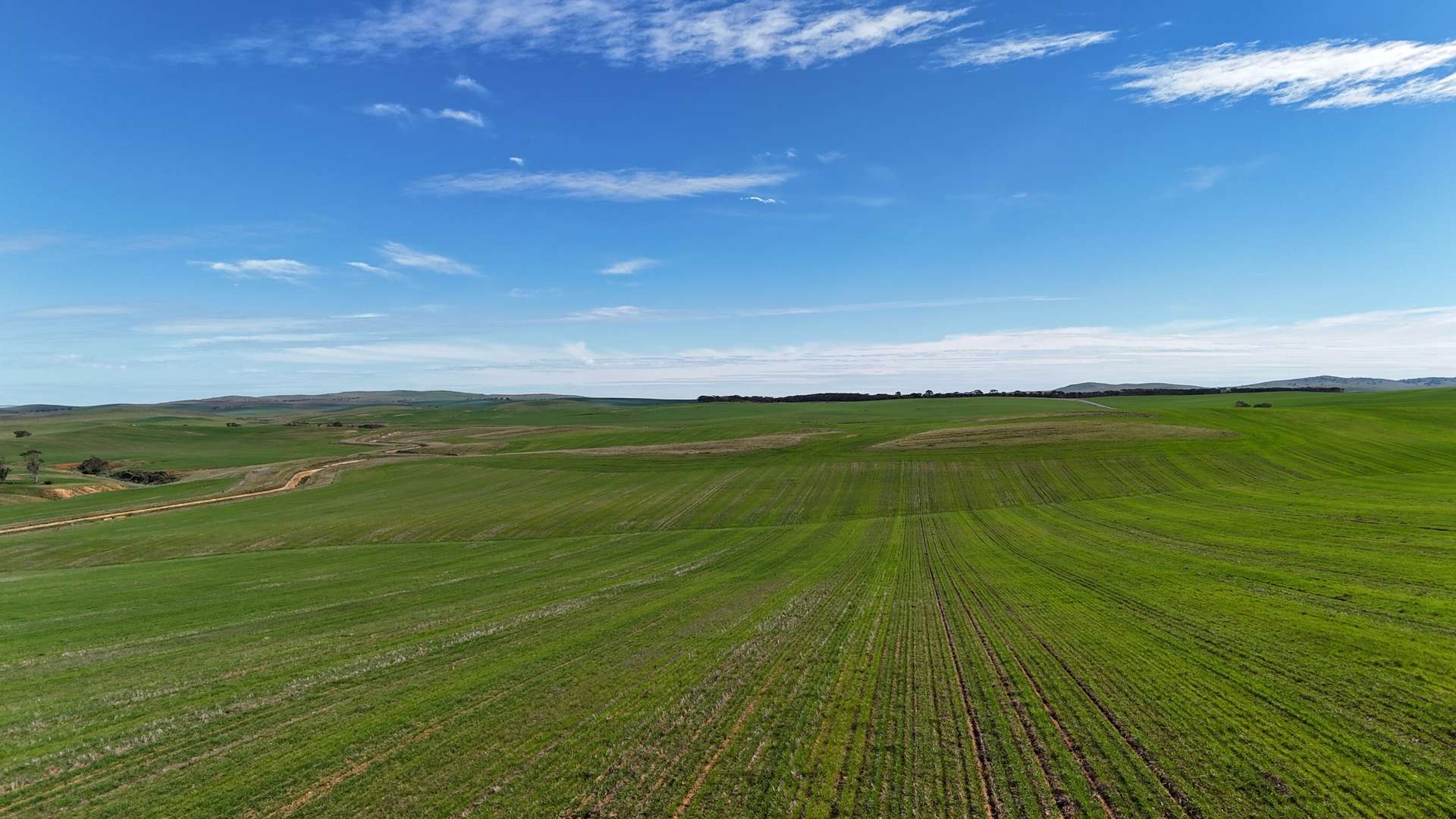 'Siegerts' Section 3 Goyder Highway, Spalding For Sale by Farmbuy.com - image 1