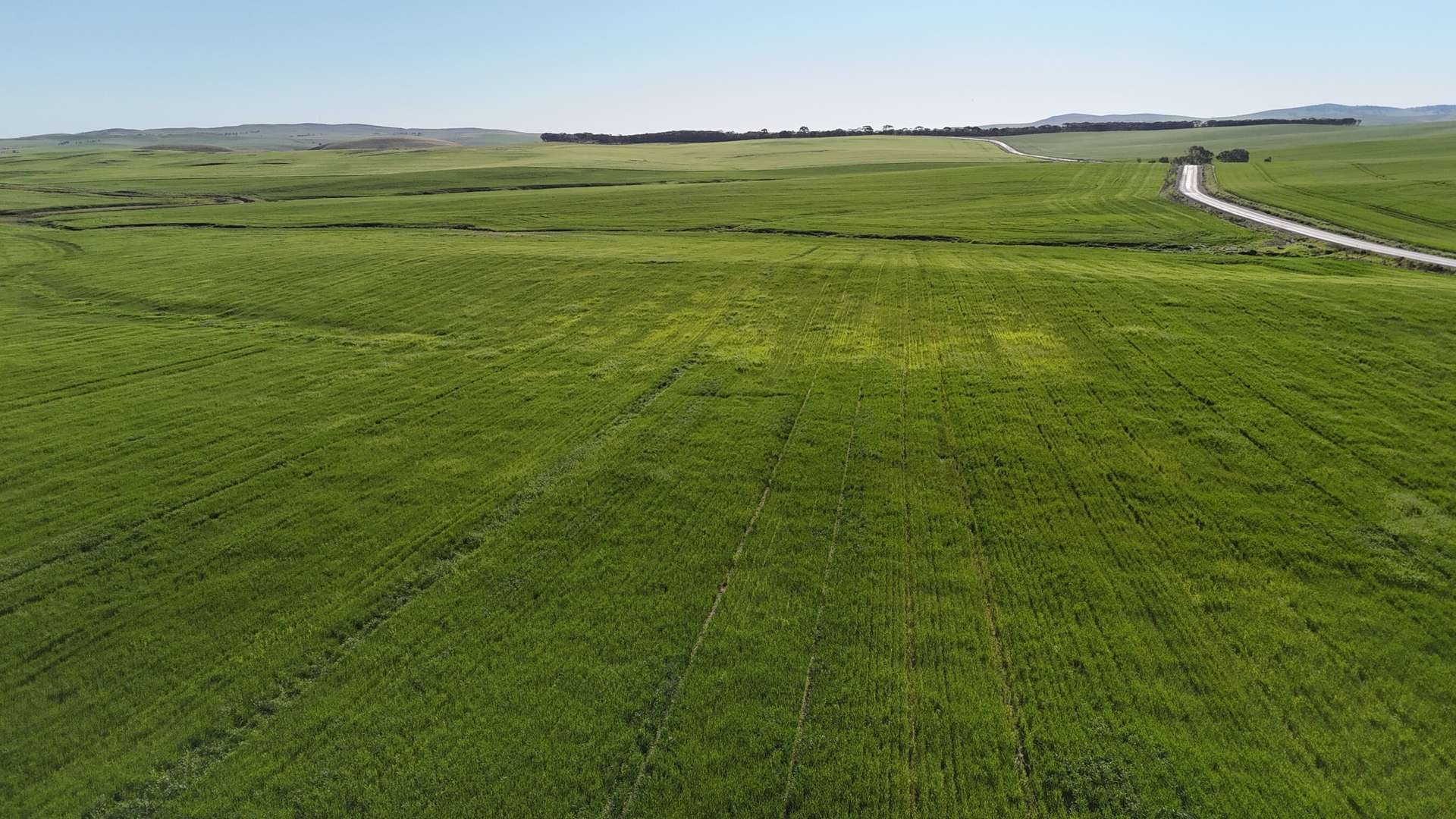 'Siegerts' Section 3 Goyder Highway, Spalding For Sale by Farmbuy.com - image 7