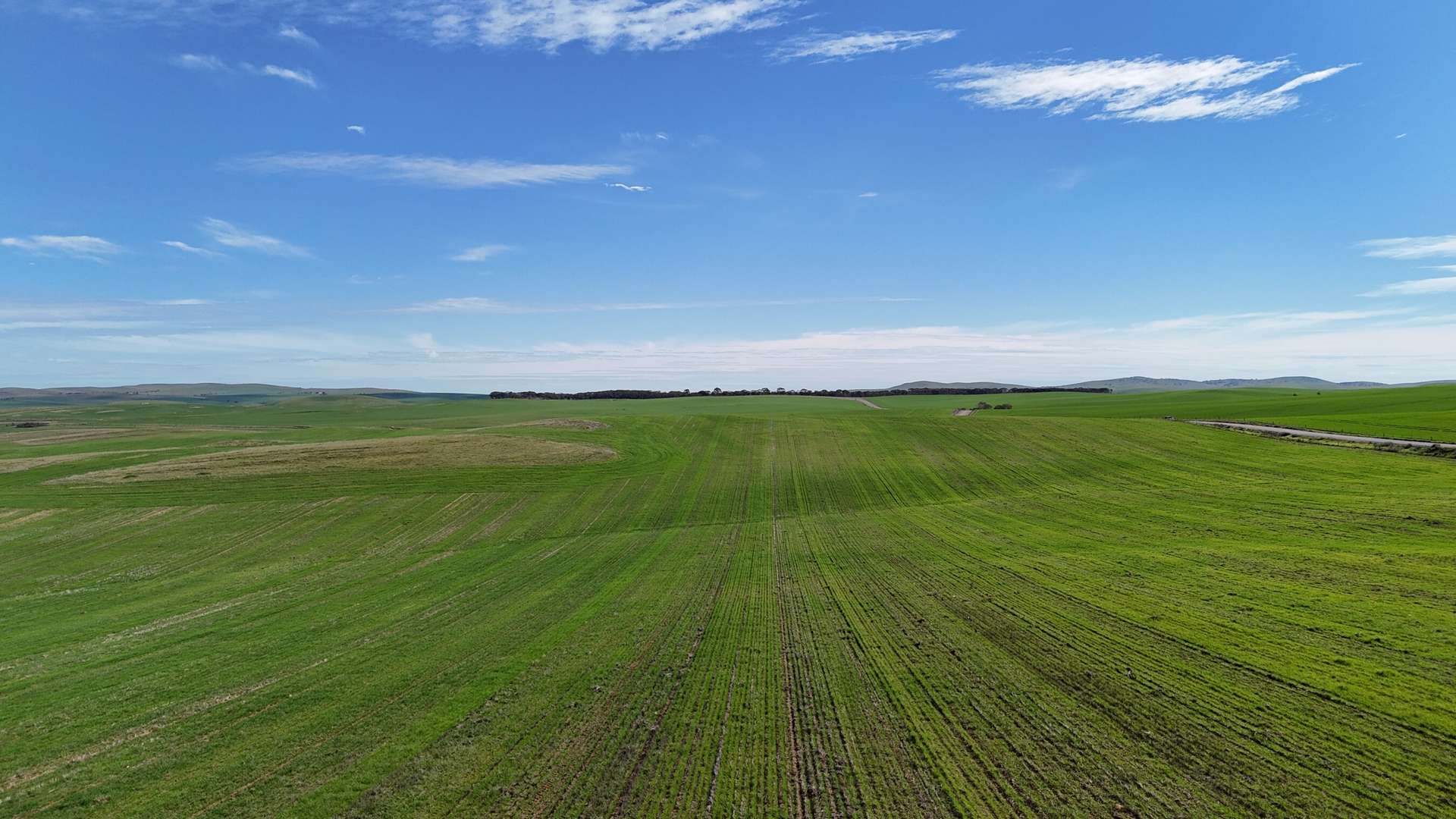 'Siegerts' Section 3 Goyder Highway, Spalding For Sale by Farmbuy.com - image 6