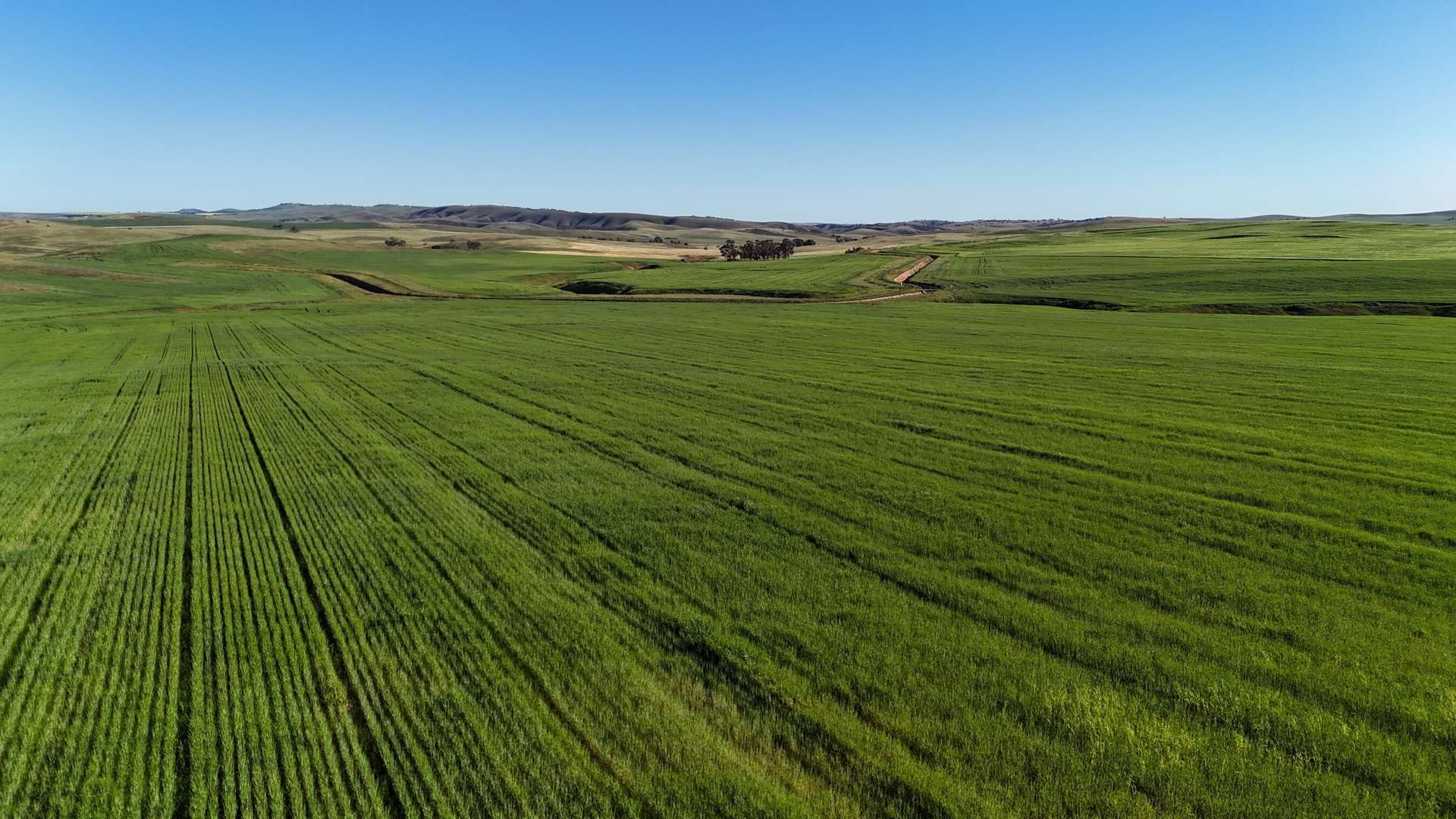 'Siegerts' Section 3 Goyder Highway, Spalding For Sale by Farmbuy.com - image 3