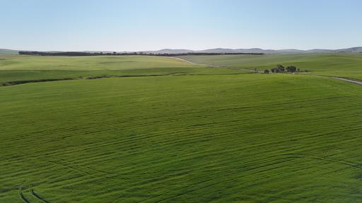 'Siegerts' Section 3 Goyder Highway, Spalding SA 5454