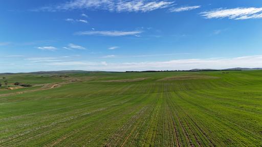 'Siegerts' Section 3 Goyder Highway, Spalding SA 5454