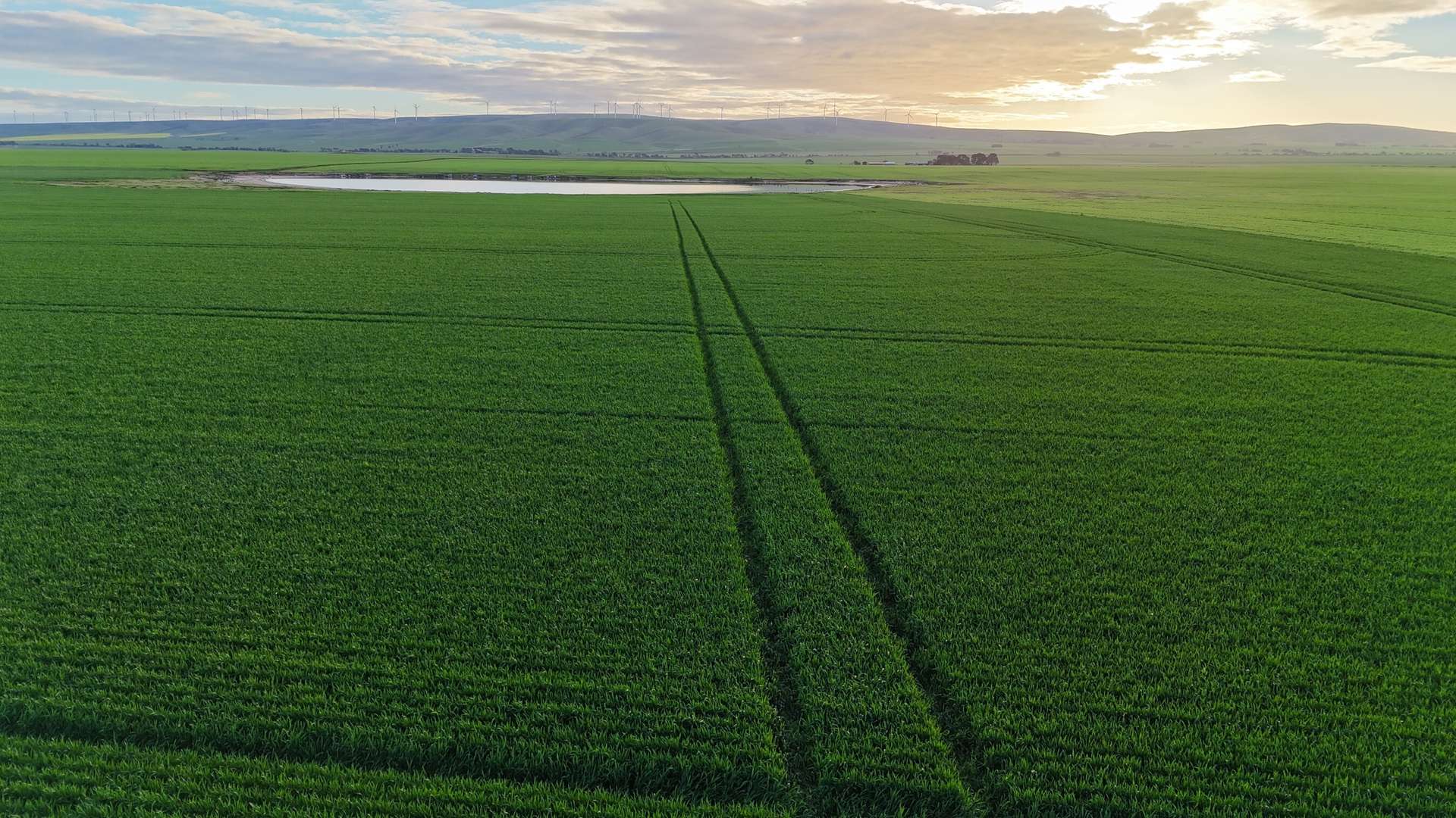 'Illamatta' 946 Barunga East Road, Burnsfield For Sale by Farmbuy.com - image 14