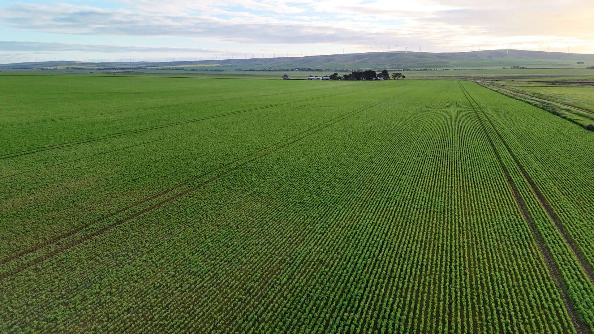 'Illamatta' 946 Barunga East Road, Burnsfield For Sale by Farmbuy.com - image 16