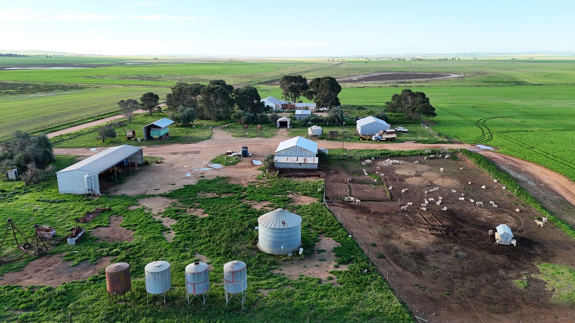 'Illamatta' 946 Barunga East Road, Burnsfield For Sale by Farmbuy.com - image 3