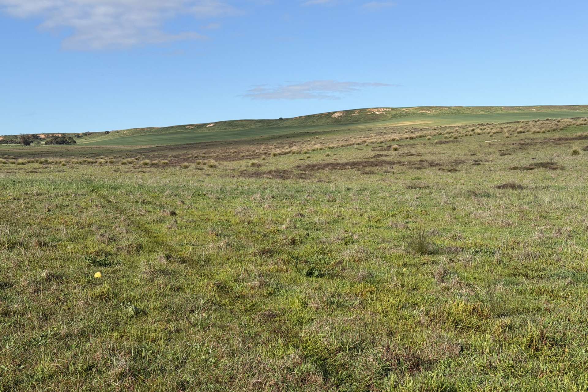 Lot 9683 Walkaway-Nangetty Road, Ellendale For Sale by Farmbuy.com - image 18