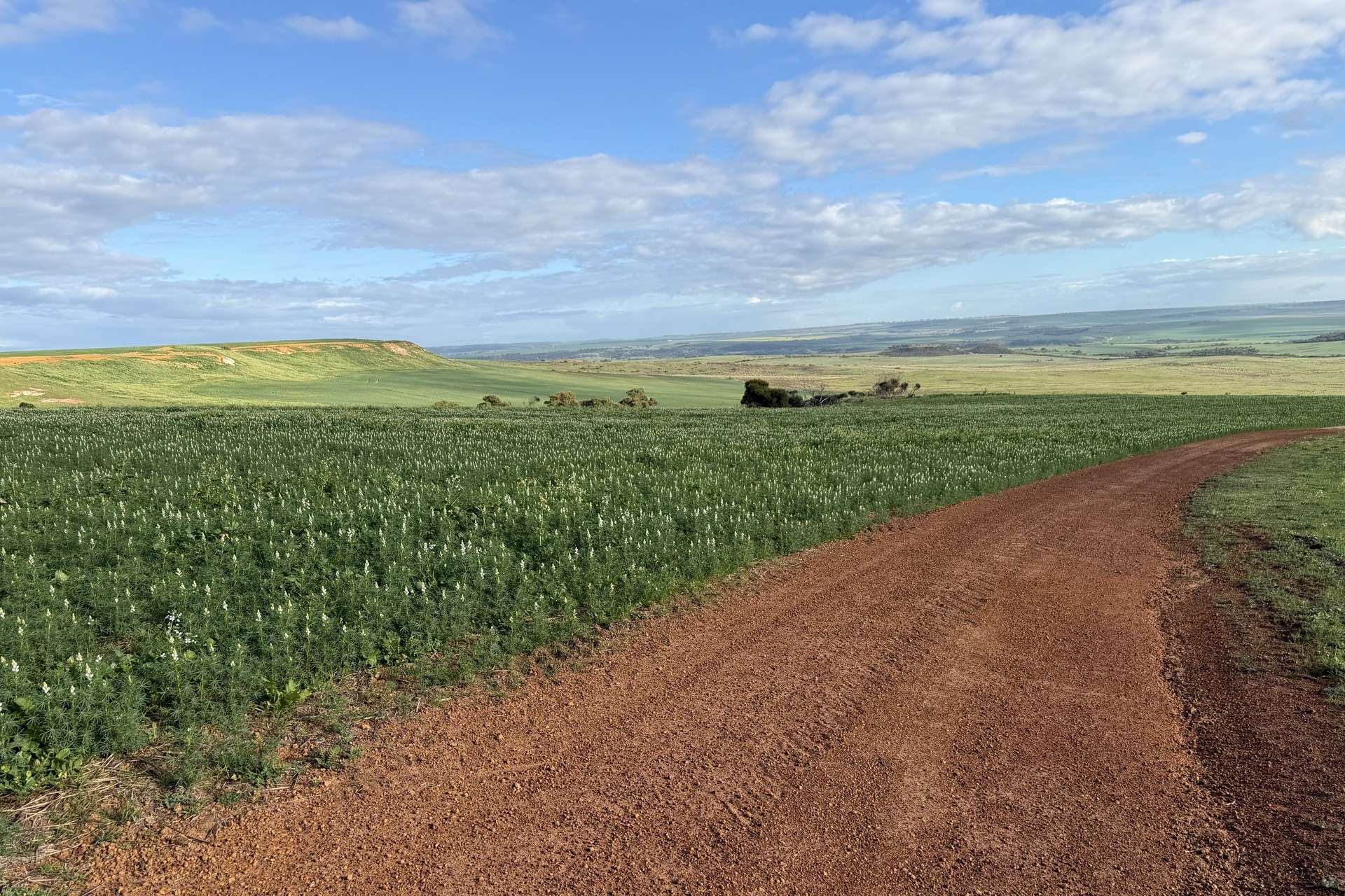 Lot 9683 Walkaway-Nangetty Road, Ellendale For Sale by Farmbuy.com - image 4