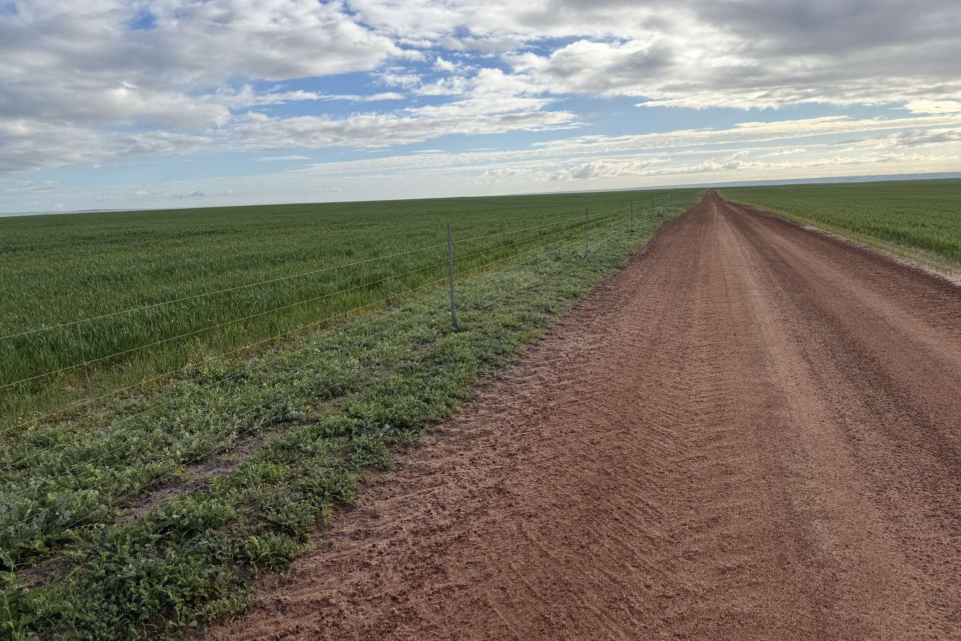 Lot 9683 Walkaway-Nangetty Road, Ellendale For Sale by Farmbuy.com - image 20