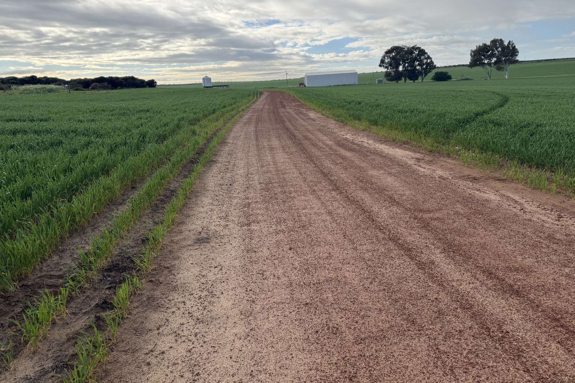 Lot 9683 Walkaway-Nangetty Road, Ellendale For Sale by Farmbuy.com - image 2