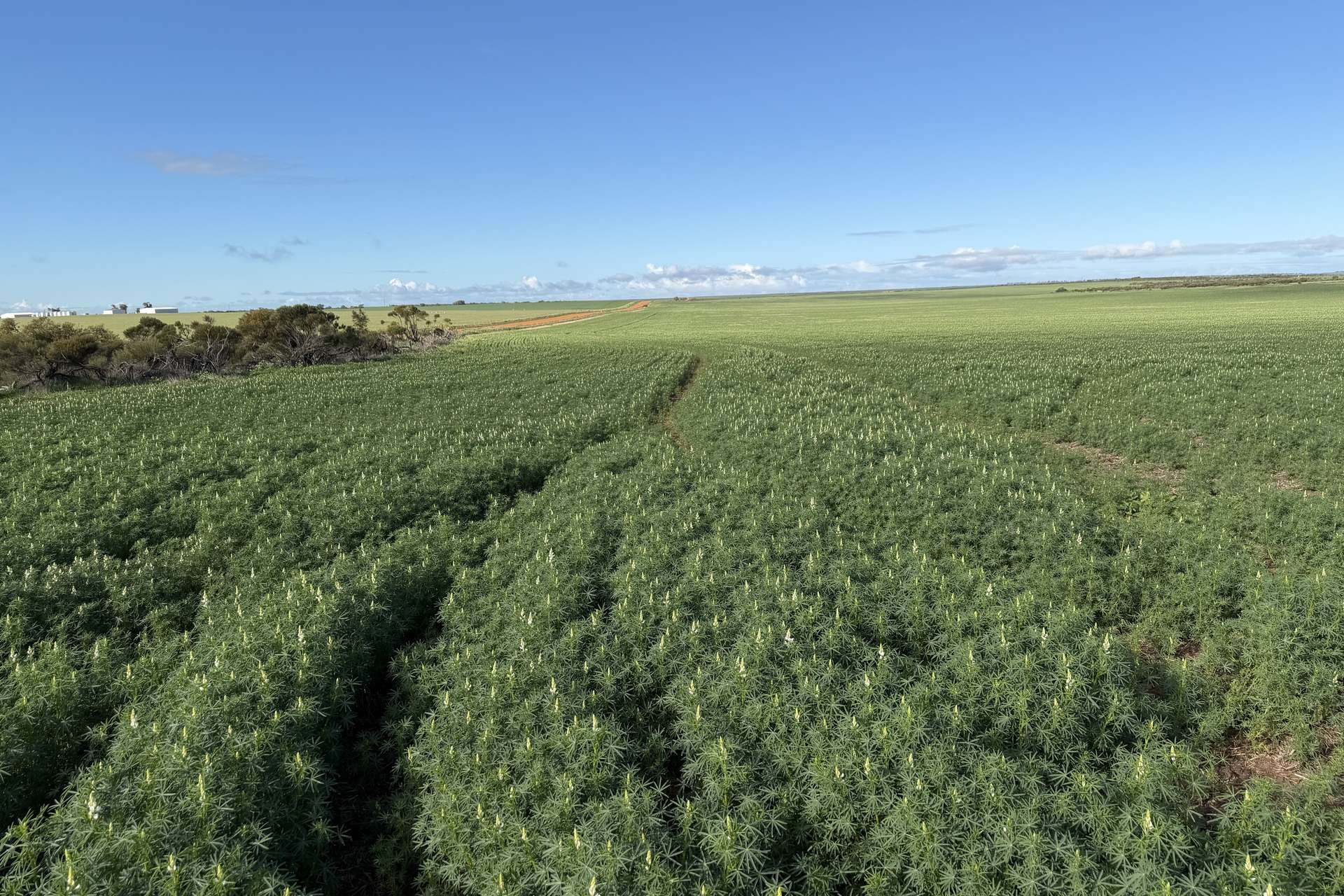 Lot 9683 Walkaway-Nangetty Road, Ellendale For Sale by Farmbuy.com - image 17