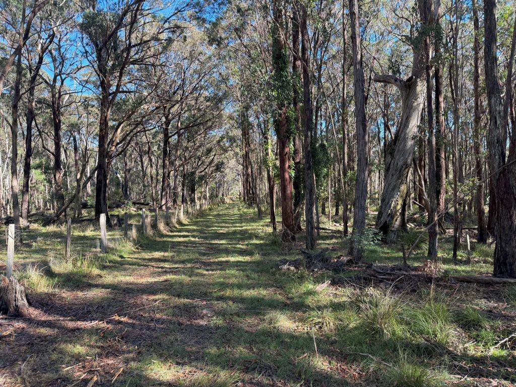 261 Hardy Road, Eukey For Sale by Farmbuy.com - image 3