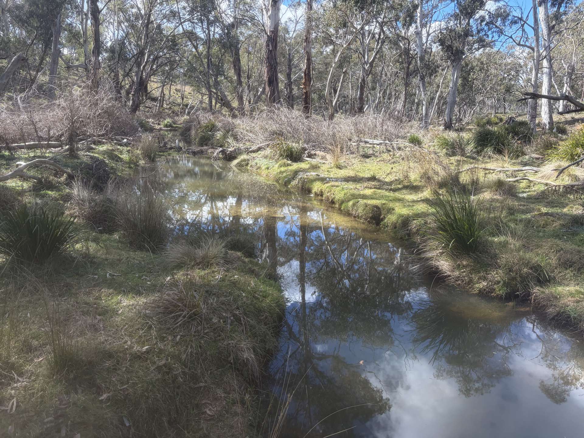 Lot 13 Rydal Road, Mount Lambie For Sale by Farmbuy.com - image 15