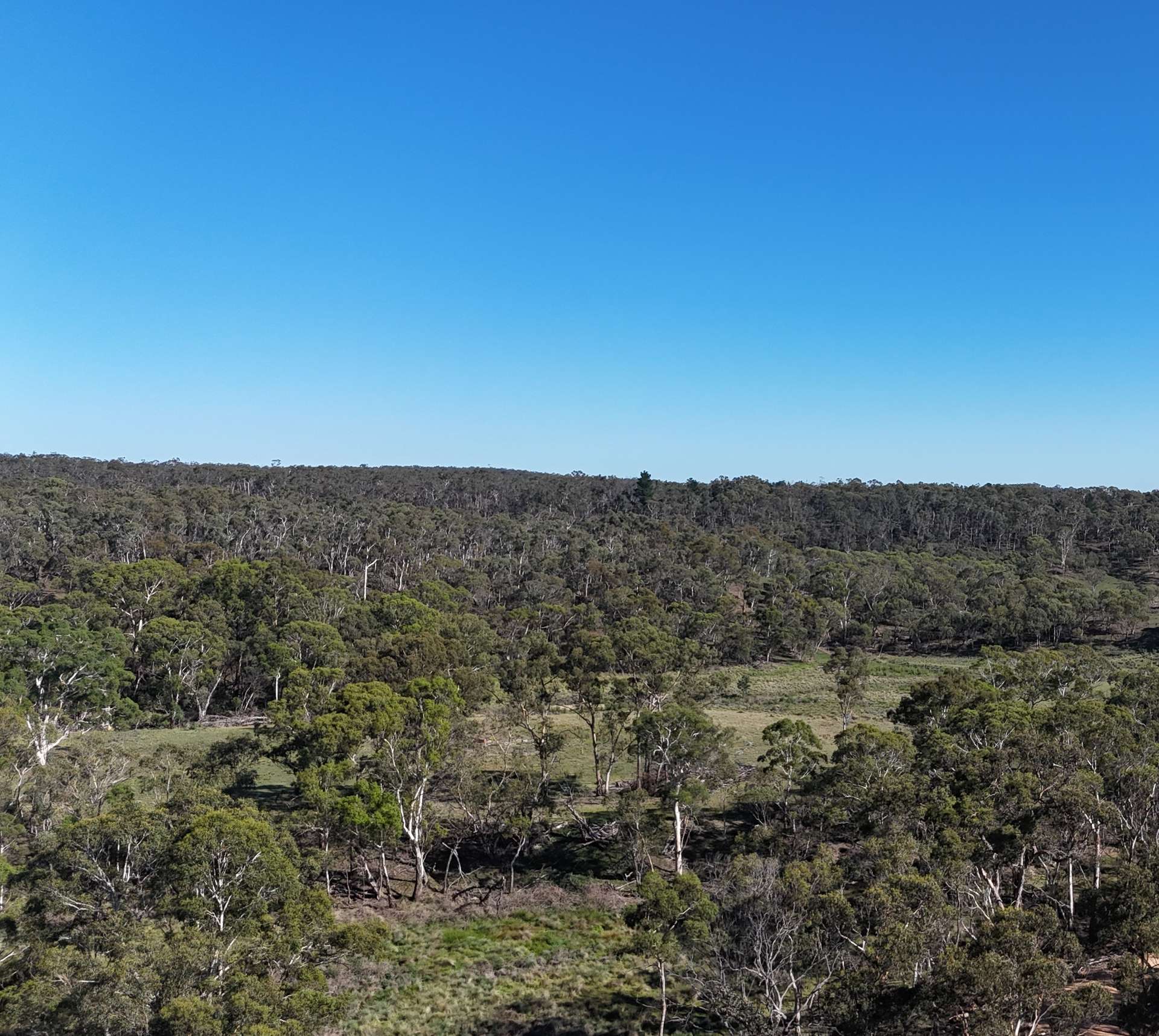 Lot 13 Rydal Road, Mount Lambie For Sale by Farmbuy.com - image 7