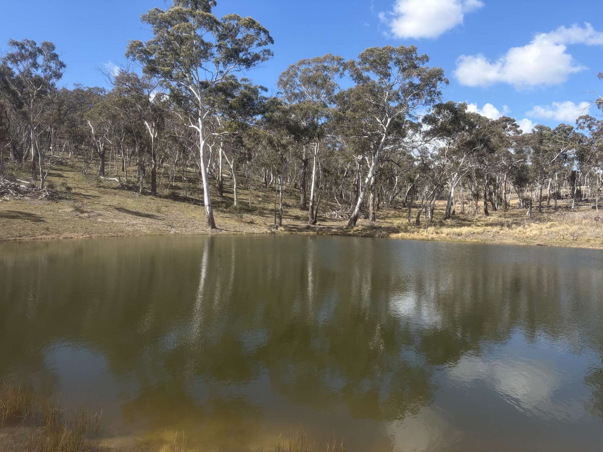 Lot 13 Rydal Road, Mount Lambie For Sale by Farmbuy.com - image 3