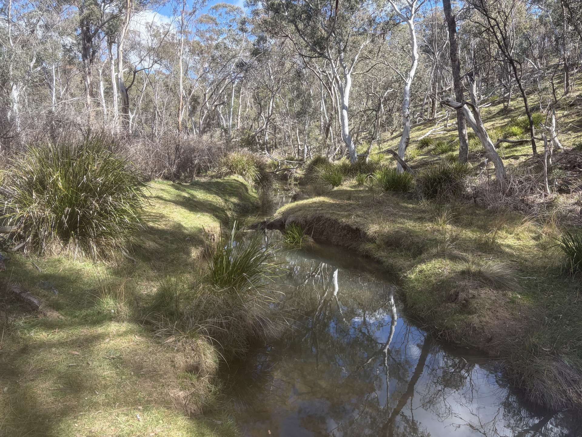 Lot 13 Rydal Road, Mount Lambie For Sale by Farmbuy.com - image 14