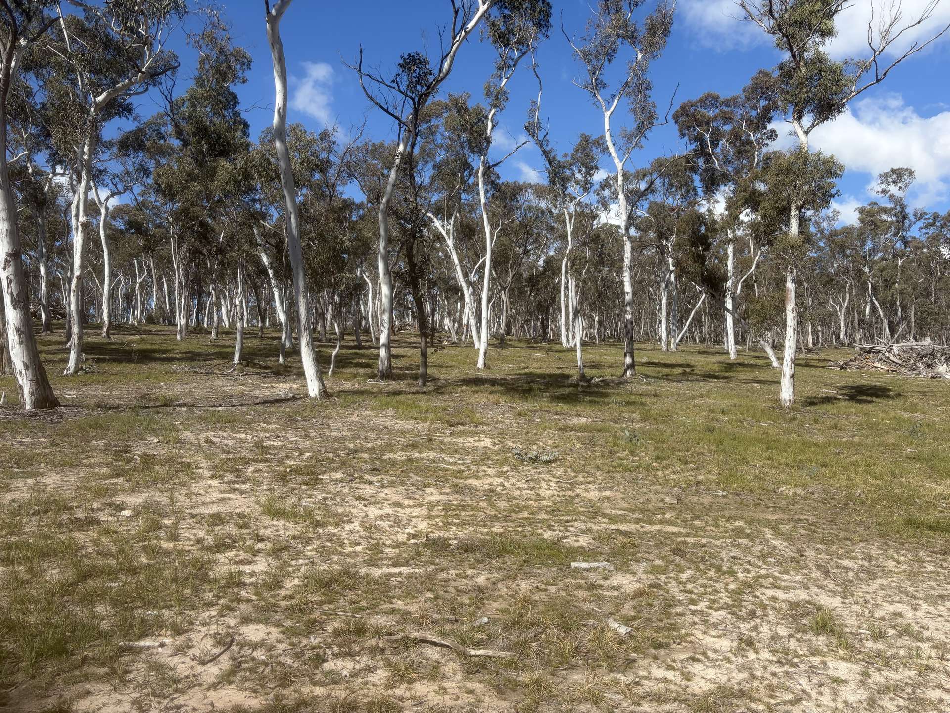 Lot 13 Rydal Road, Mount Lambie For Sale by Farmbuy.com - image 11