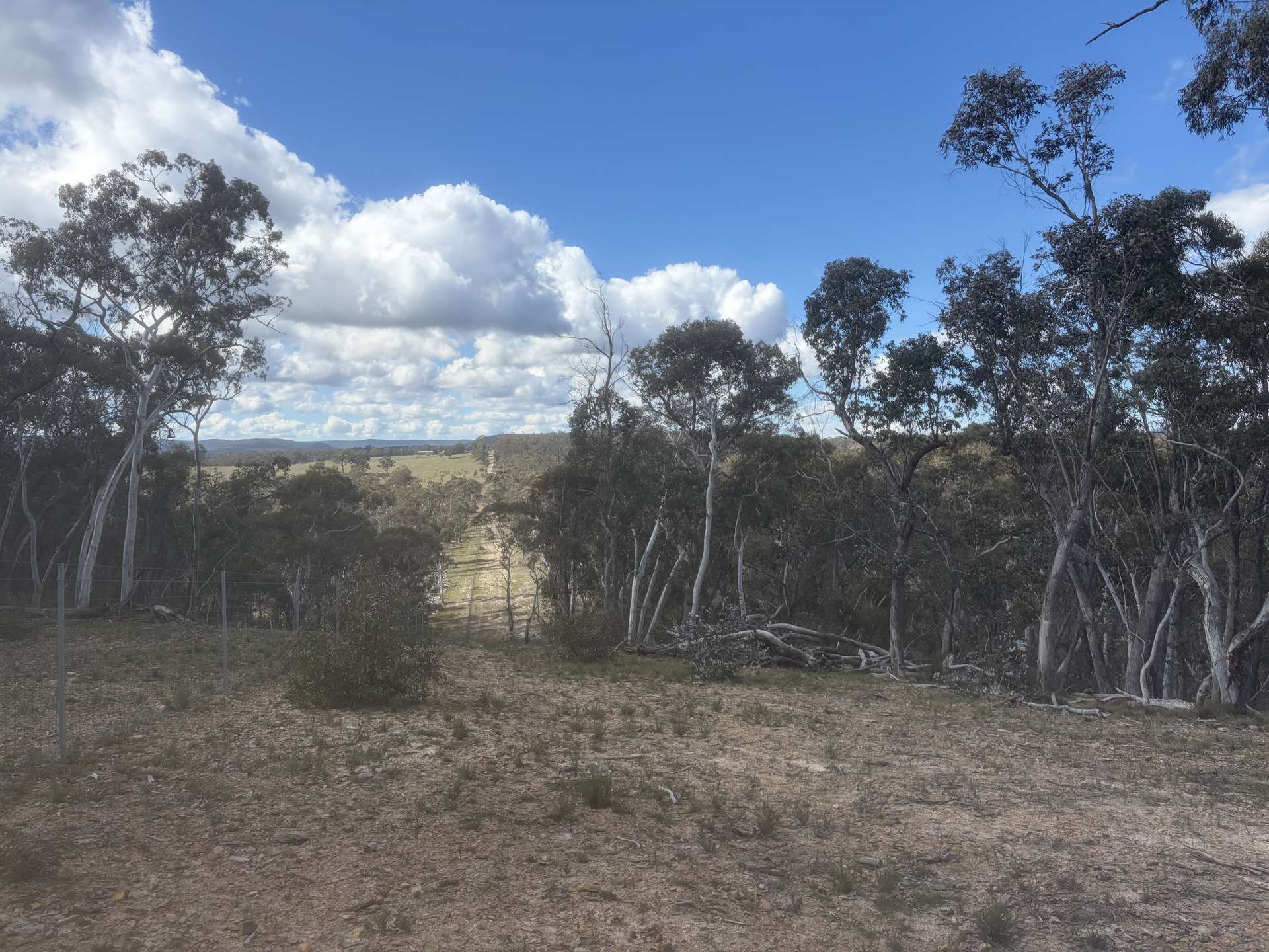 Lot 13 Rydal Road, Mount Lambie For Sale by Farmbuy.com - image 12