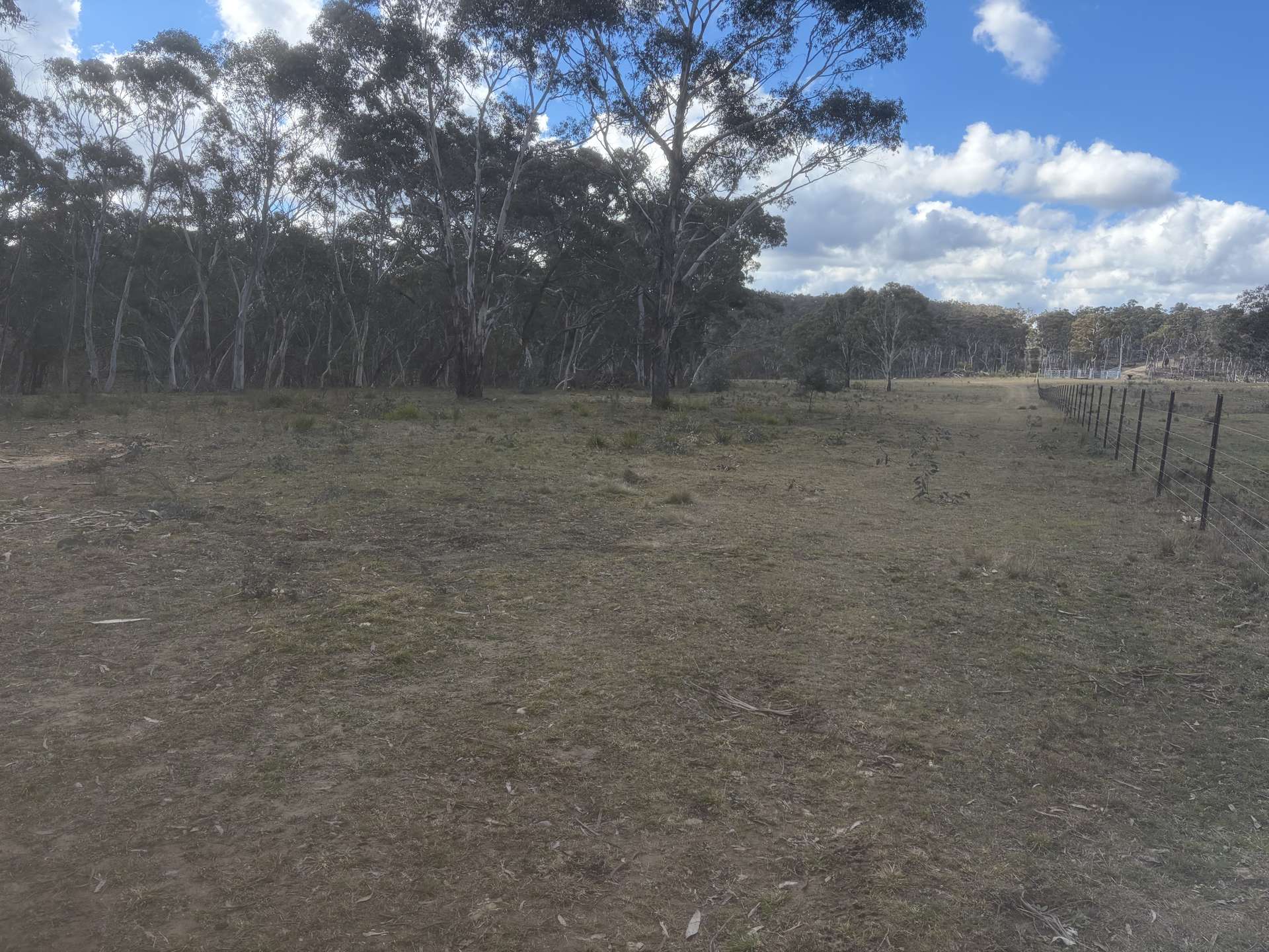 Lot 13 Rydal Road, Mount Lambie For Sale by Farmbuy.com - image 13