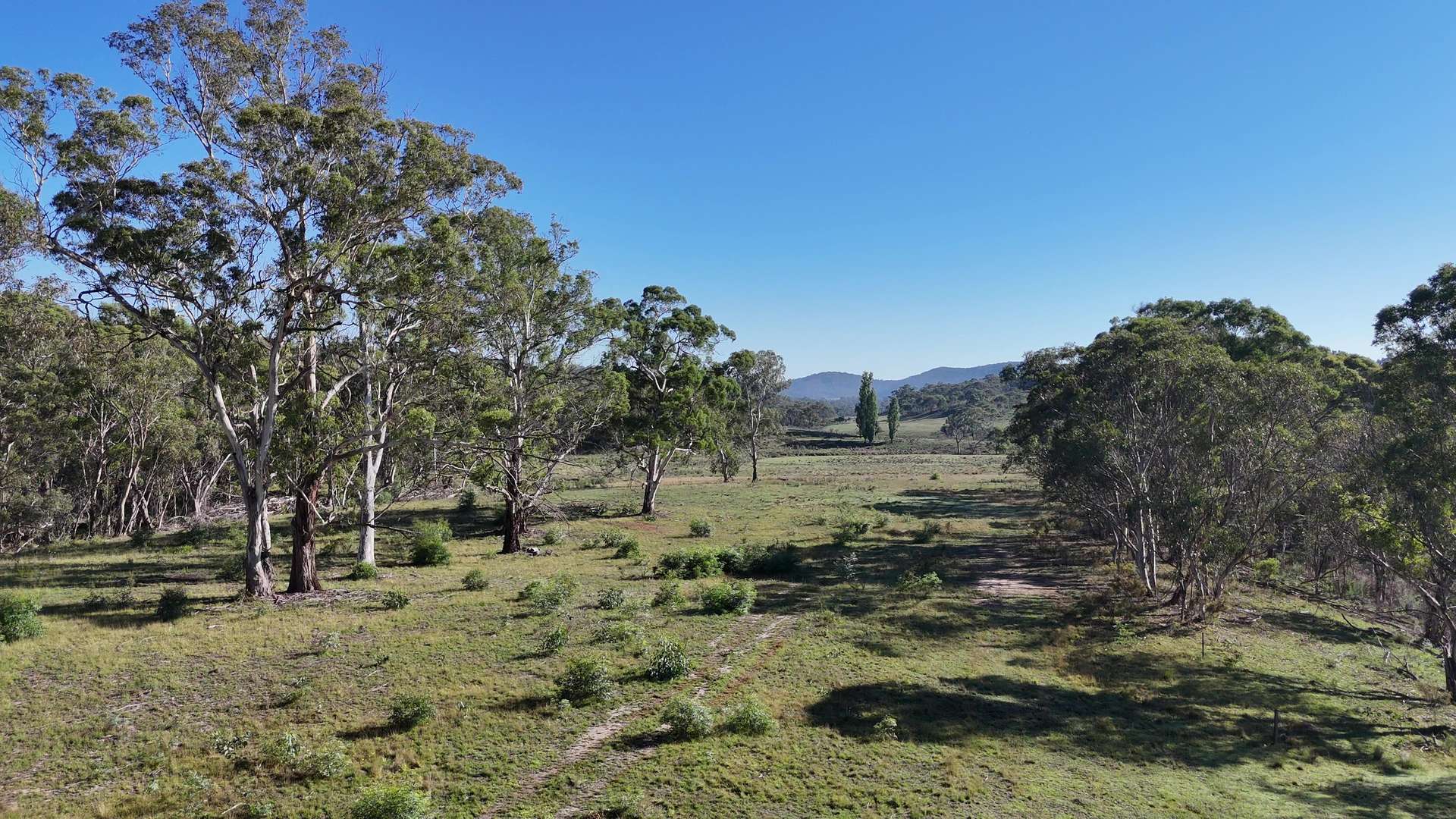 Lot 13 Rydal Road, Mount Lambie For Sale by Farmbuy.com - image 4