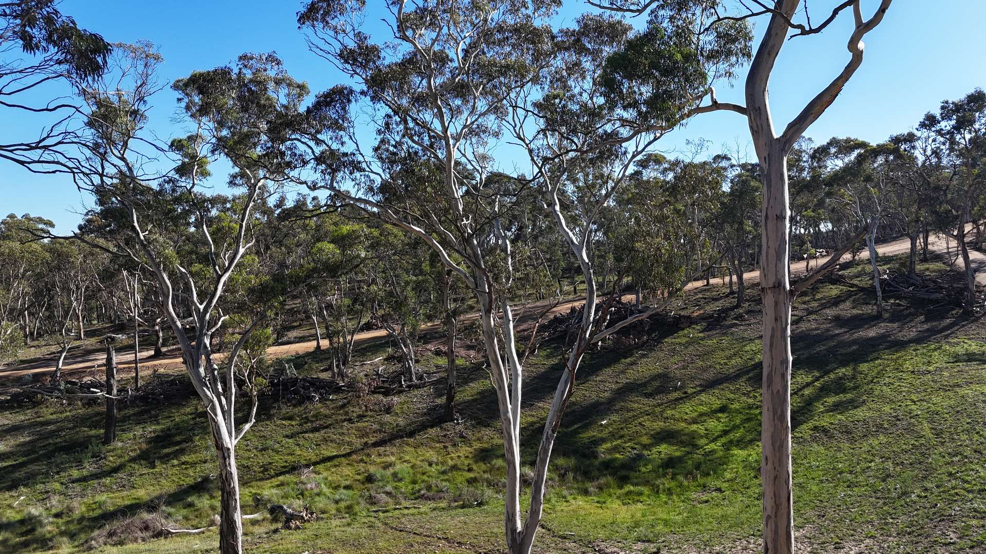 Lot 13 Rydal Road, Mount Lambie For Sale by Farmbuy.com - image 10