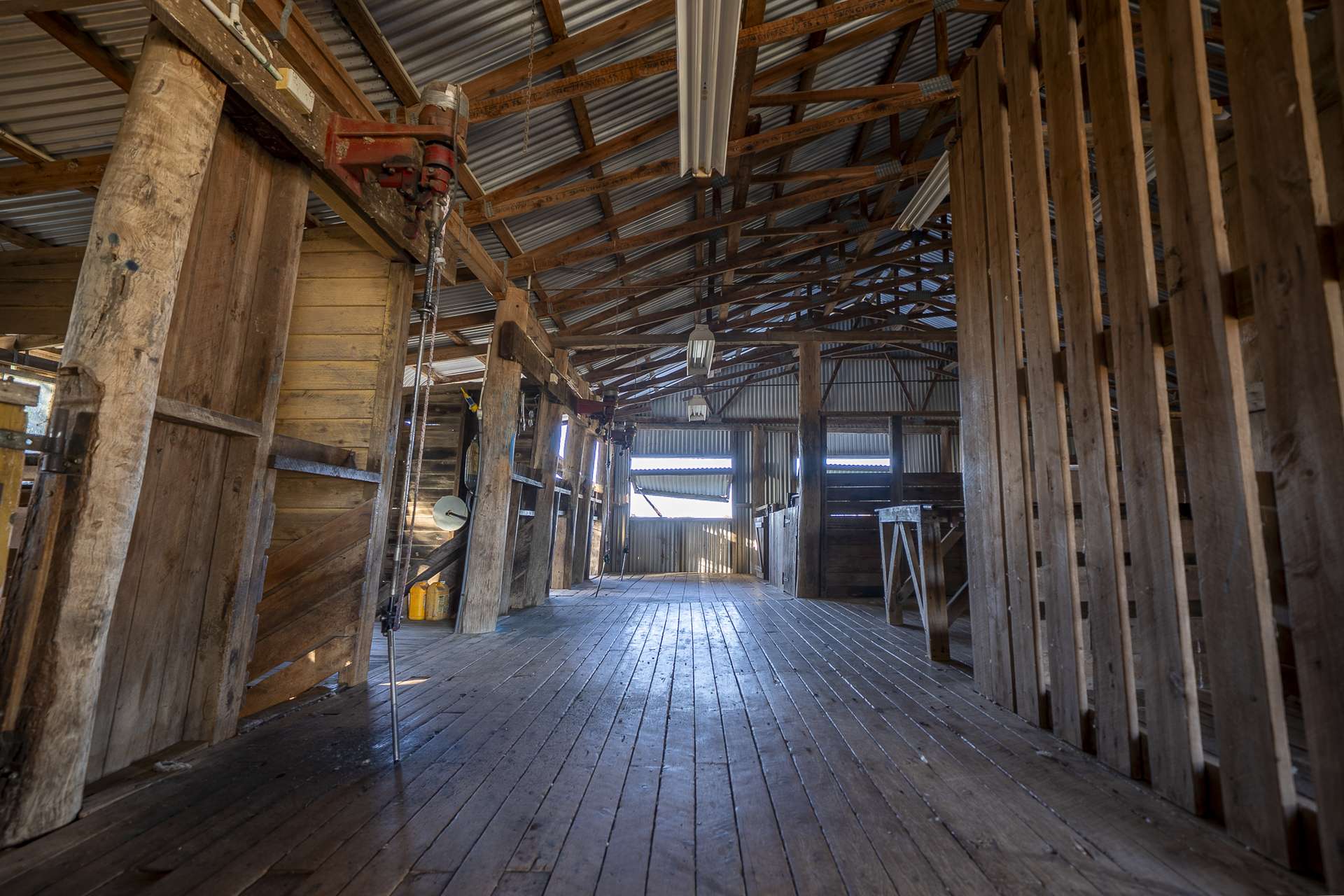 1310 Humbug Road, The Gums Auction by Farmbuy.com - image 23