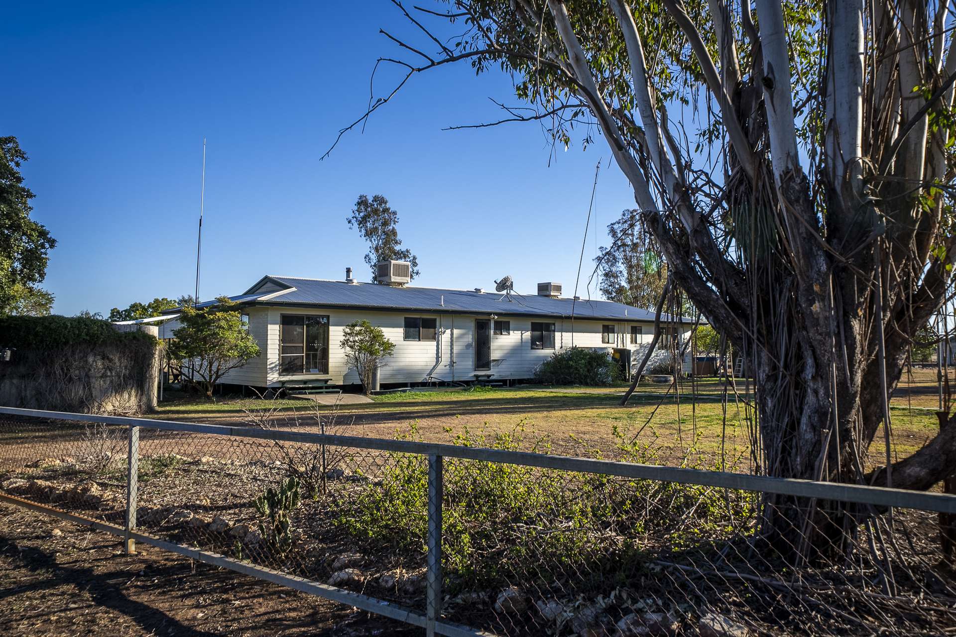 1310 Humbug Road, The Gums Auction by Farmbuy.com - image 17