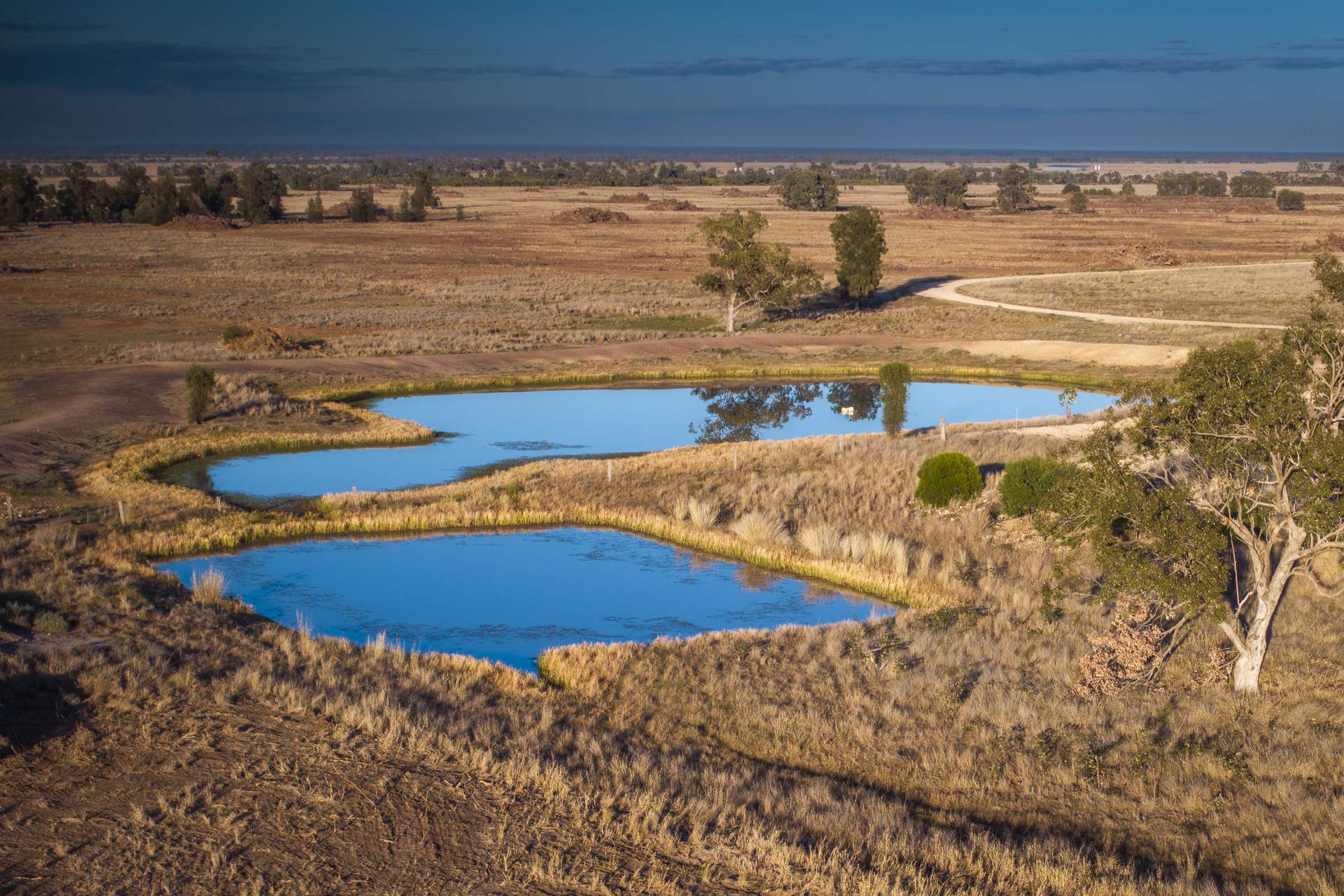 1310 Humbug Road, The Gums Auction by Farmbuy.com - image 2