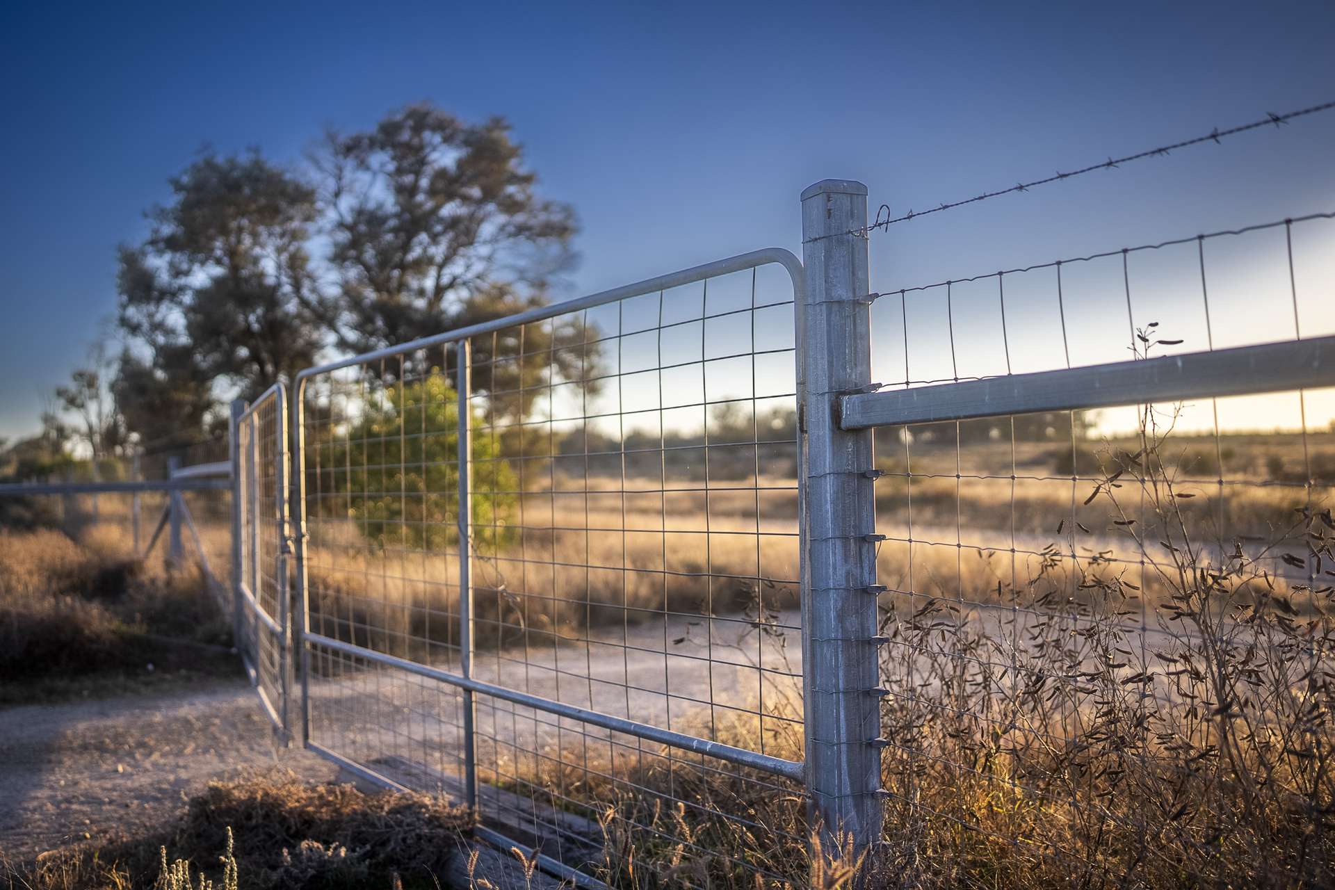 1310 Humbug Road, The Gums Auction by Farmbuy.com - image 11