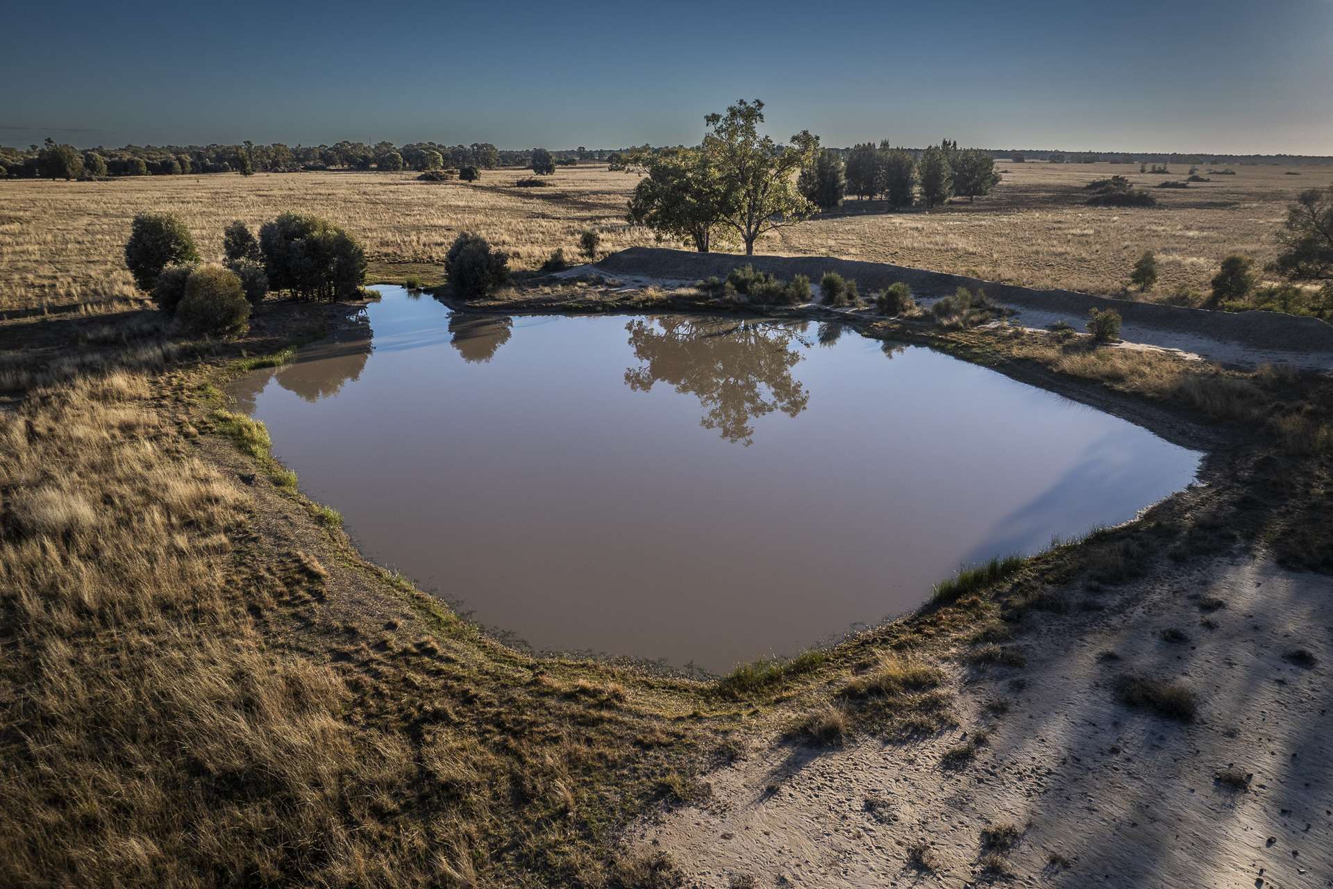 1310 Humbug Road, The Gums Auction by Farmbuy.com - image 13
