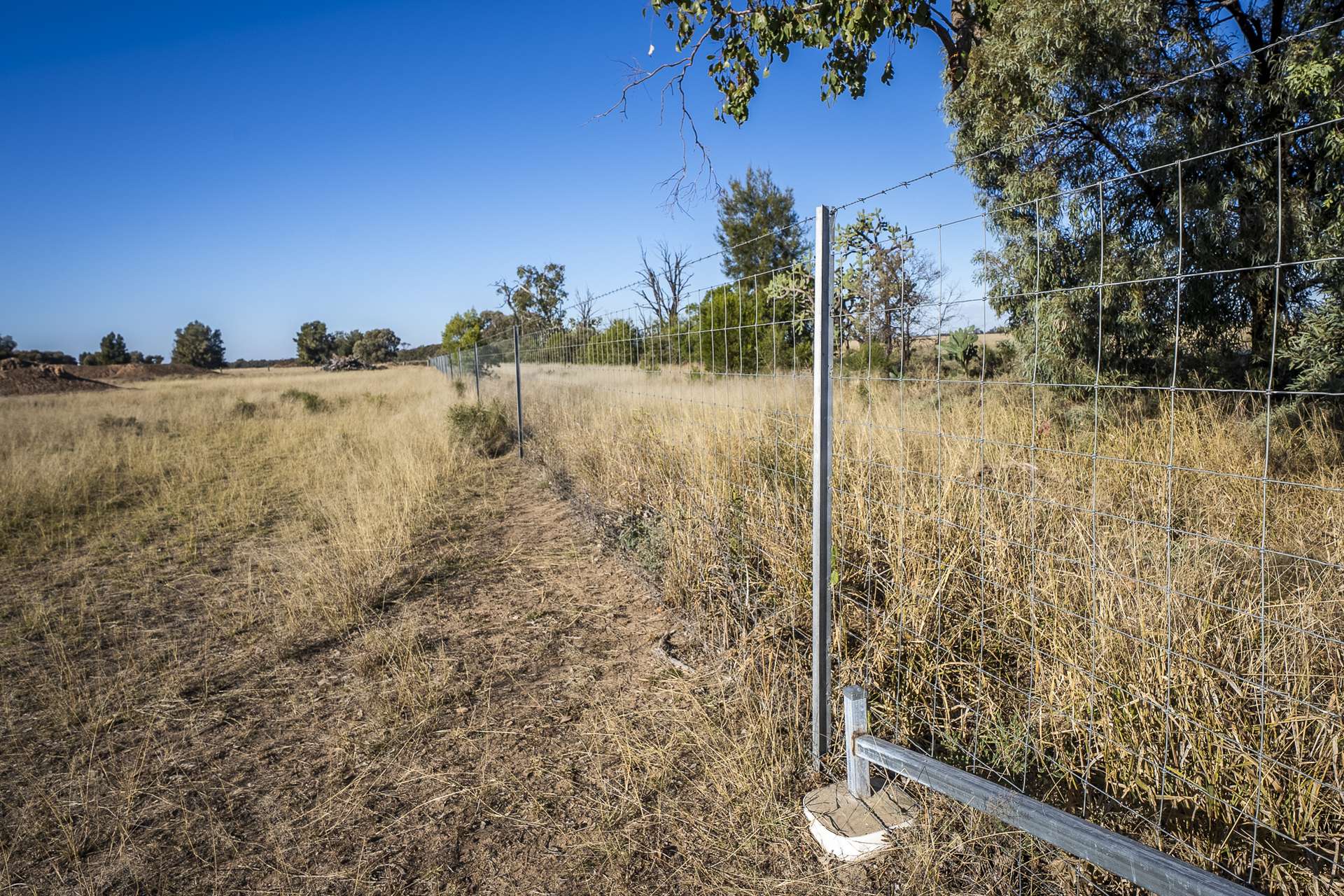 1310 Humbug Road, The Gums Auction by Farmbuy.com - image 12