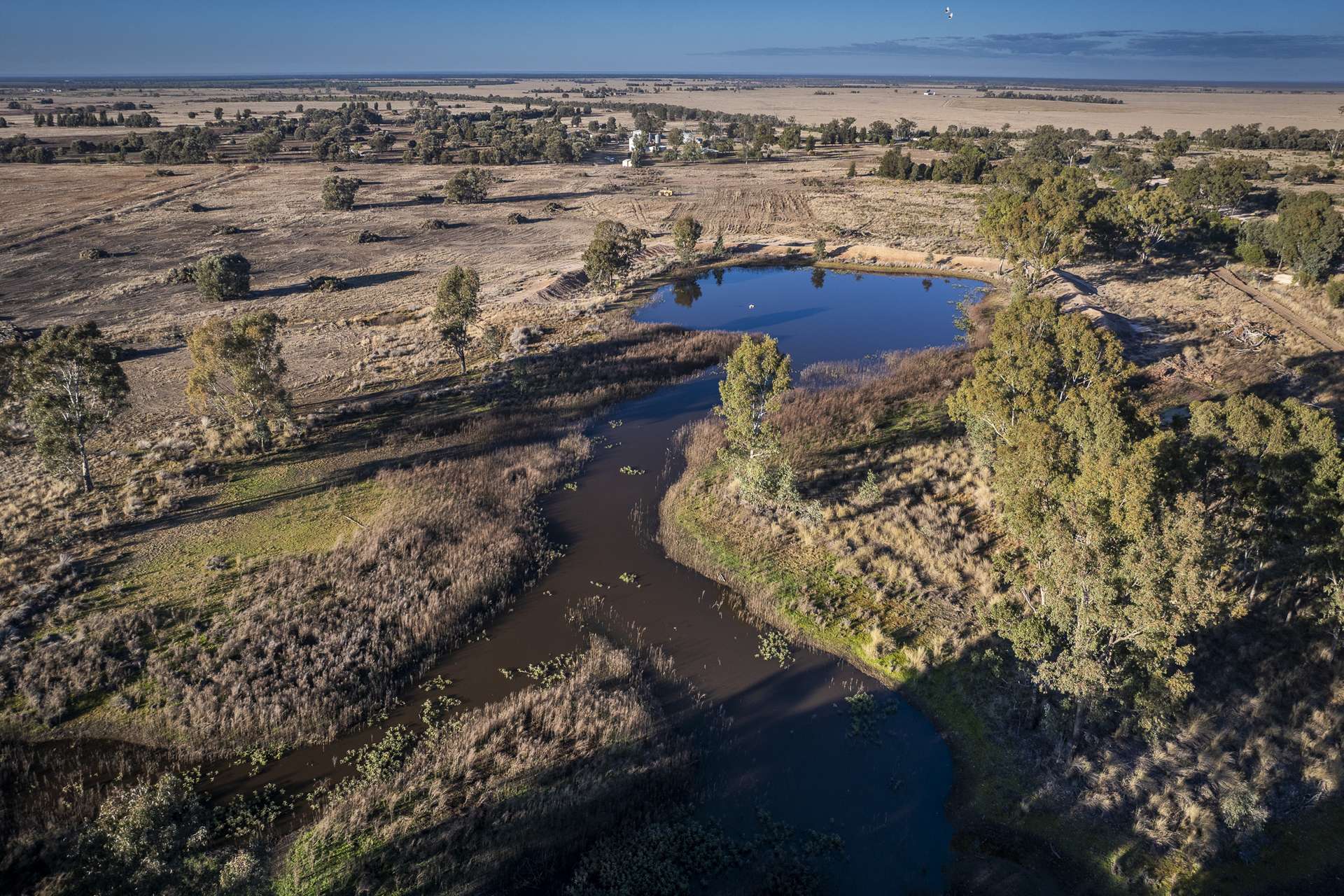 1310 Humbug Road, The Gums Auction by Farmbuy.com - image 5