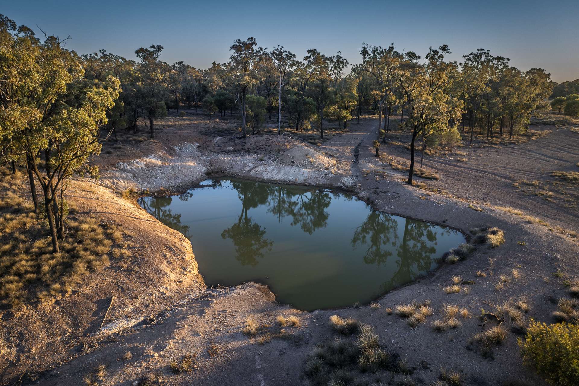 1310 Humbug Road, The Gums Auction by Farmbuy.com - image 24