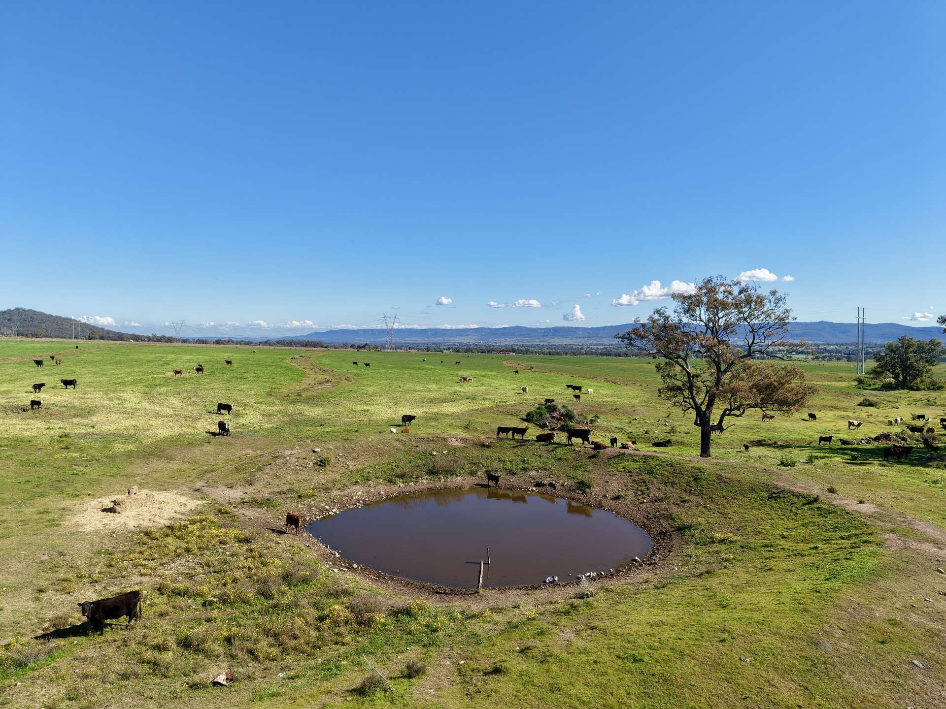"Parkville Farms" Smiths Road, Parkville For Sale by Farmbuy.com - image 20