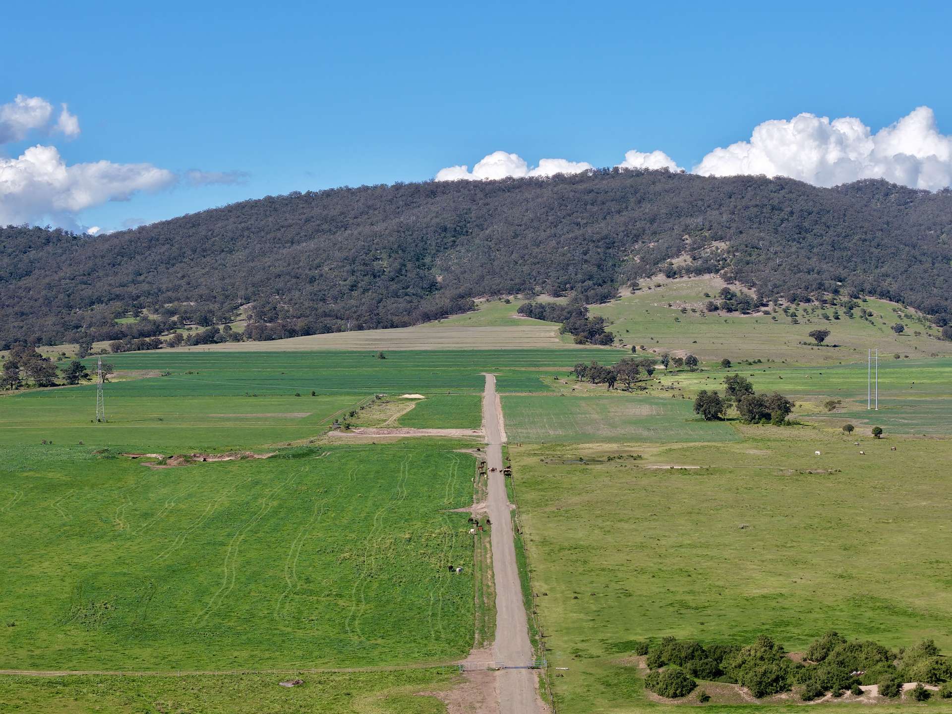 "Parkville Farms" Smiths Road, Parkville For Sale by Farmbuy.com - image 4