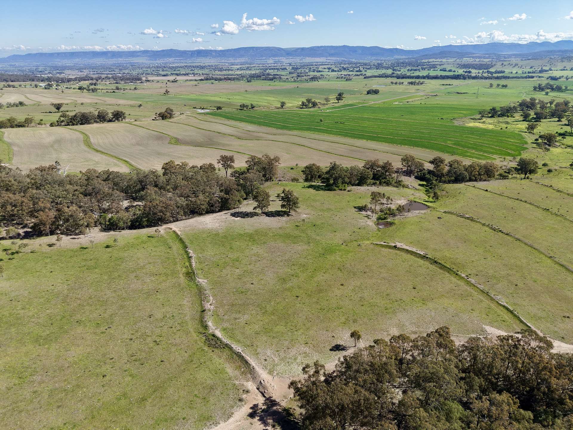 "Parkville Farms" Smiths Road, Parkville For Sale by Farmbuy.com - image 8