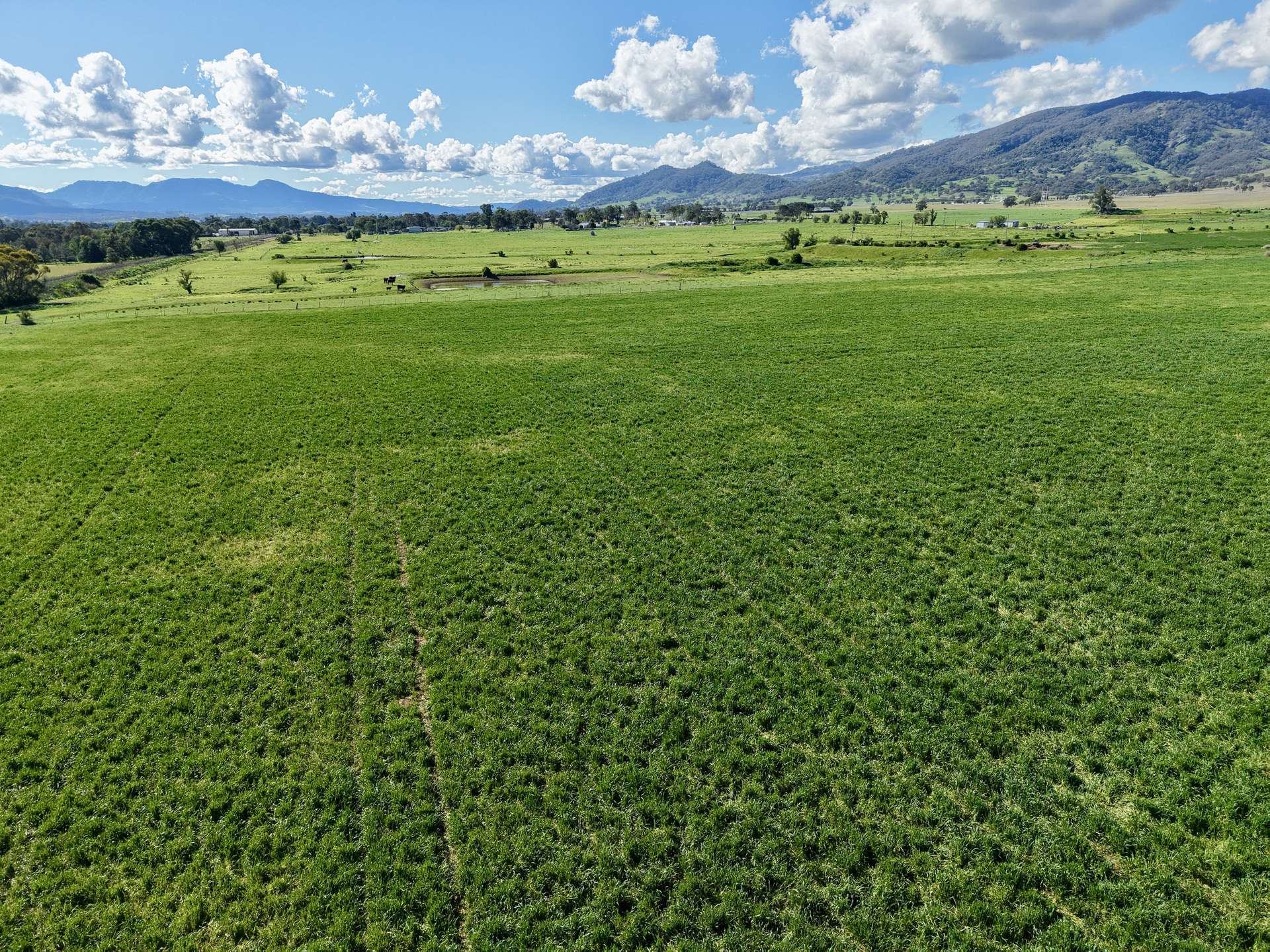 "Parkville Farms" Smiths Road, Parkville For Sale by Farmbuy.com - image 16