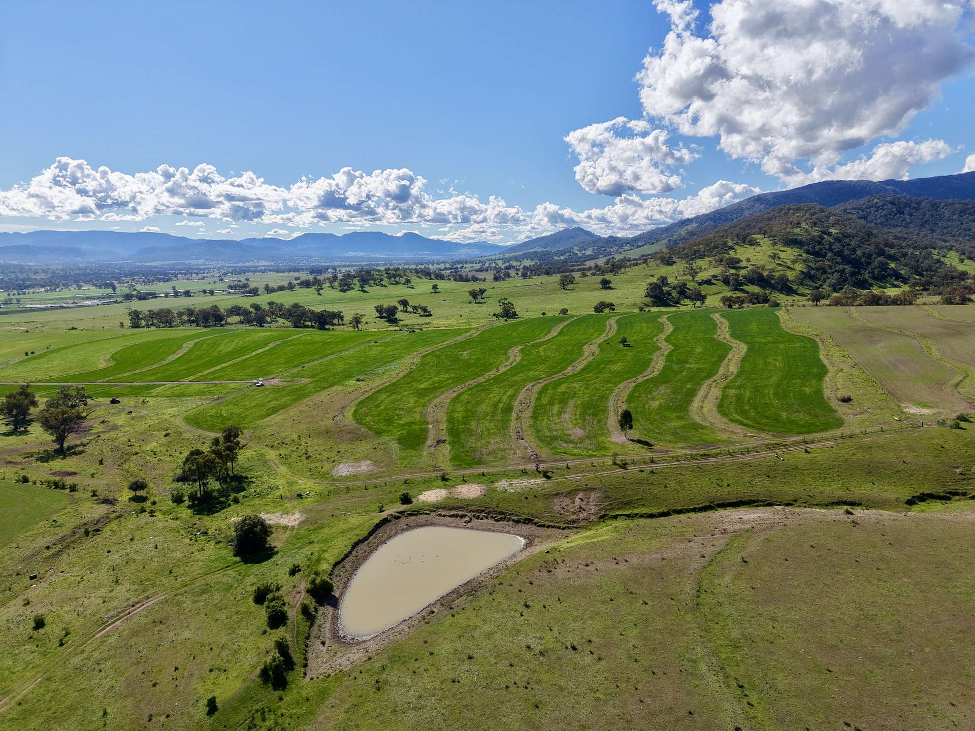 "Parkville Farms" Smiths Road, Parkville For Sale by Farmbuy.com - image 6