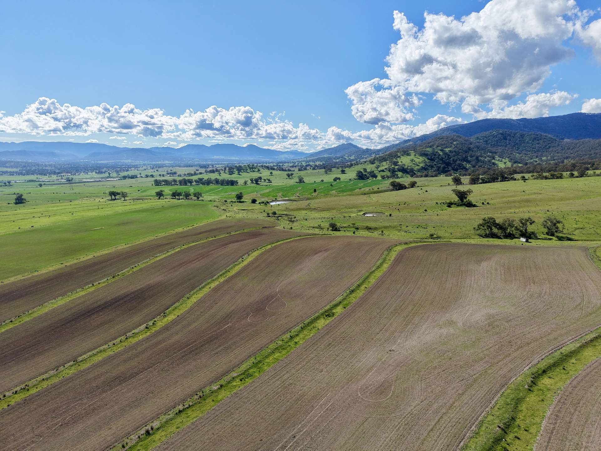 "Parkville Farms" Smiths Road, Parkville For Sale by Farmbuy.com - image 1
