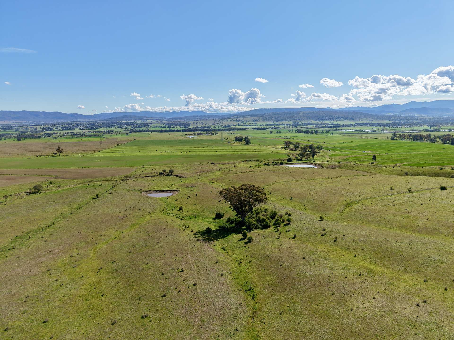 "Parkville Farms" Smiths Road, Parkville For Sale by Farmbuy.com - image 7